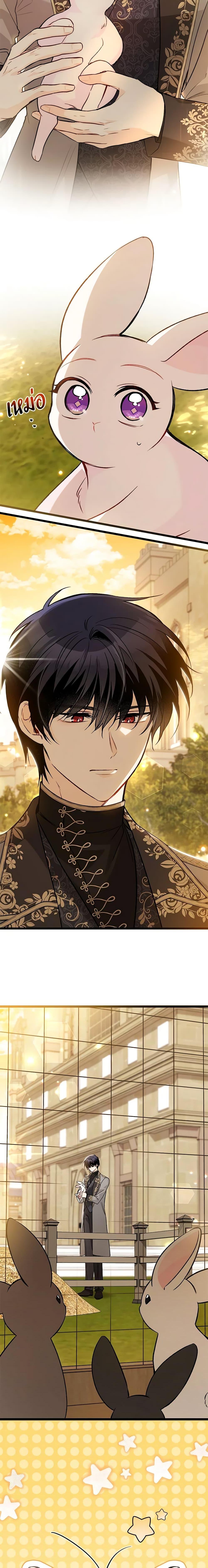 Manga-lc-com อ่านมังงะ อ่านการ์ตูน ออนไลน์ ฟรี The Symbiotic Relationship Between a Panther and a Rabbit ตอนที่ 1 2 3 4 5 6 7 8 9 10 11 12 13 14 ฟรี ไม่มีโฆษณา Manga-lc - อ่าน มังงะ อ่าน การ์ตูน ออนไลน์ อ่านมังงะ ฟรี