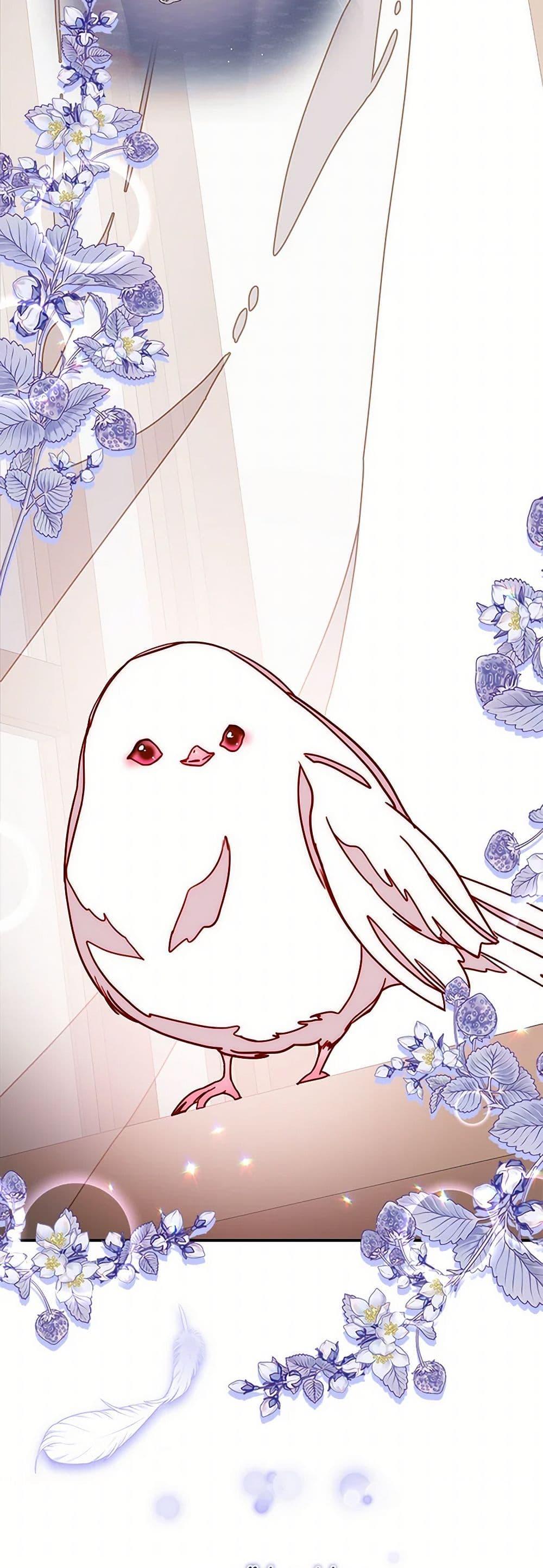 Manga-lc-com อ่านมังงะ อ่านการ์ตูน ออนไลน์ ฟรี Please Forget Vivian ตอนที่ 1 2 3 4 5 6 7 8 9 10 11 12 13 14 ฟรี ไม่มีโฆษณา Manga-lc - อ่าน มังงะ อ่าน การ์ตูน ออนไลน์ อ่านมังงะ ฟรี