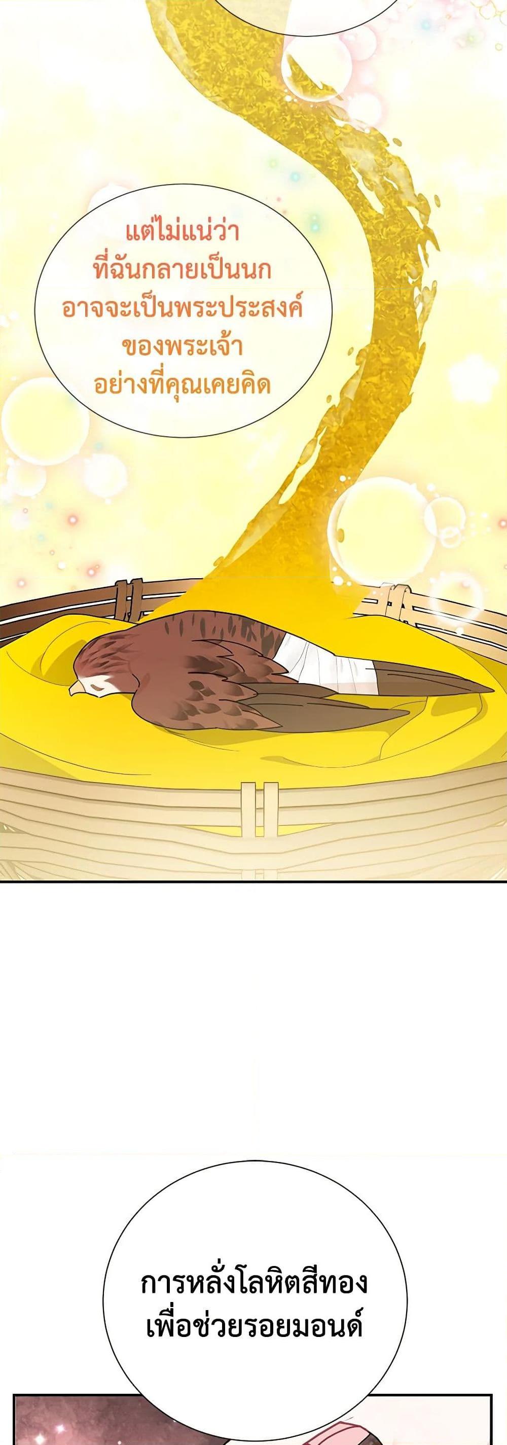 Manga-lc-com อ่านมังงะ อ่านการ์ตูน ออนไลน์ ฟรี The Falcon Princess ตอนที่ 1 2 3 4 5 6 7 8 9 10 11 12 13 14 ฟรี ไม่มีโฆษณา Manga-lc - อ่าน มังงะ อ่าน การ์ตูน ออนไลน์ อ่านมังงะ ฟรี