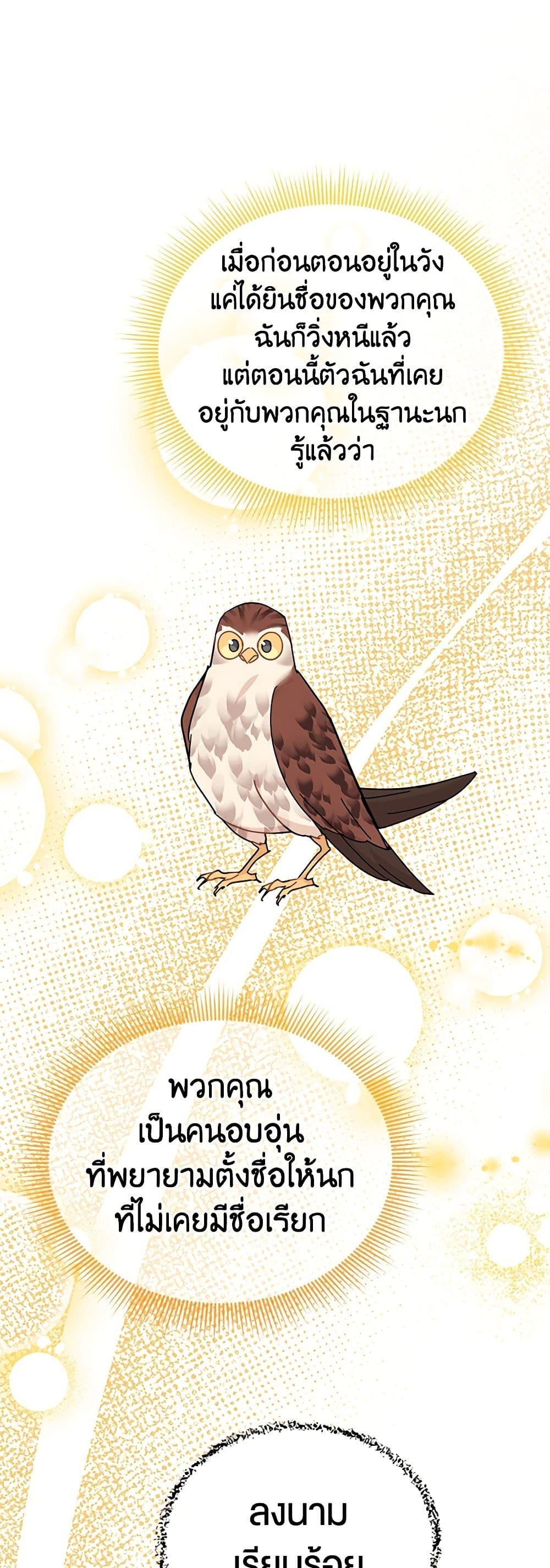 Manga-lc-com อ่านมังงะ อ่านการ์ตูน ออนไลน์ ฟรี The Falcon Princess ตอนที่ 1 2 3 4 5 6 7 8 9 10 11 12 13 14 ฟรี ไม่มีโฆษณา Manga-lc - อ่าน มังงะ อ่าน การ์ตูน ออนไลน์ อ่านมังงะ ฟรี