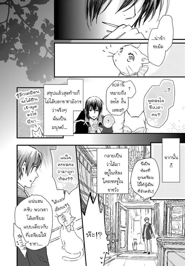 Manga-lc-com อ่านมังงะ อ่านการ์ตูน ออนไลน์ ฟรี Fukushuu wo Chikatta Shironeko wa Ryuuou no Hiza no Ue de Damin wo Musaboru ตอนที่ 1 2 3 4 5 6 7 8 9 10 11 12 13 14 ฟรี ไม่มีโฆษณา Manga-lc - อ่าน มังงะ อ่าน การ์ตูน ออนไลน์ อ่านมังงะ ฟรี