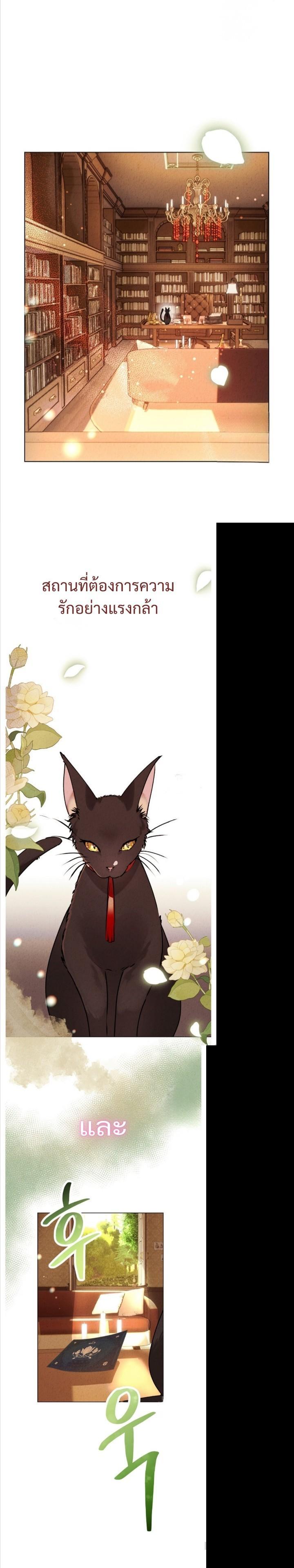 Manga-lc-com อ่านมังงะ อ่านการ์ตูน ออนไลน์ ฟรี Mansion Young Chunhua I Love You Forever ตอนที่ 1 2 3 4 5 6 7 8 9 10 11 12 13 14 ฟรี ไม่มีโฆษณา Manga-lc - อ่าน มังงะ อ่าน การ์ตูน ออนไลน์ อ่านมังงะ ฟรี