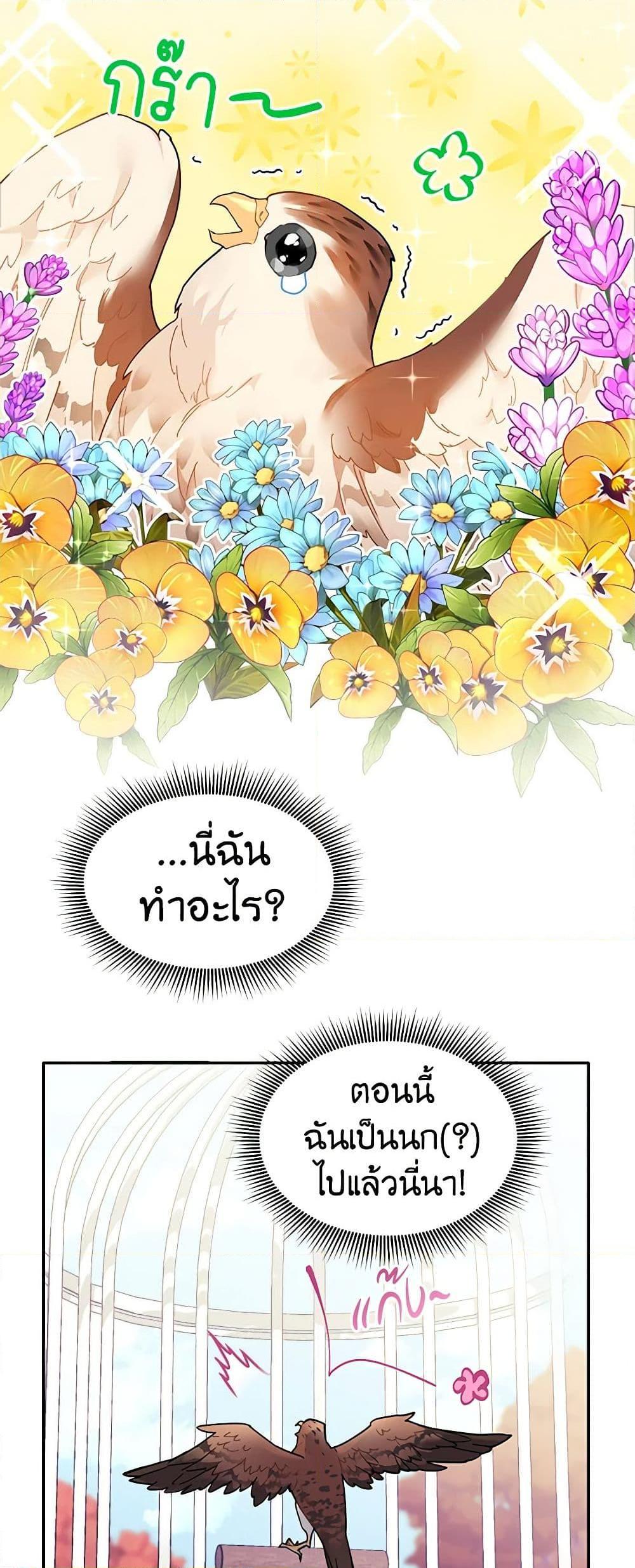Manga-lc-com อ่านมังงะ อ่านการ์ตูน ออนไลน์ ฟรี The Falcon Princess ตอนที่ 1 2 3 4 5 6 7 8 9 10 11 12 13 14 ฟรี ไม่มีโฆษณา Manga-lc - อ่าน มังงะ อ่าน การ์ตูน ออนไลน์ อ่านมังงะ ฟรี