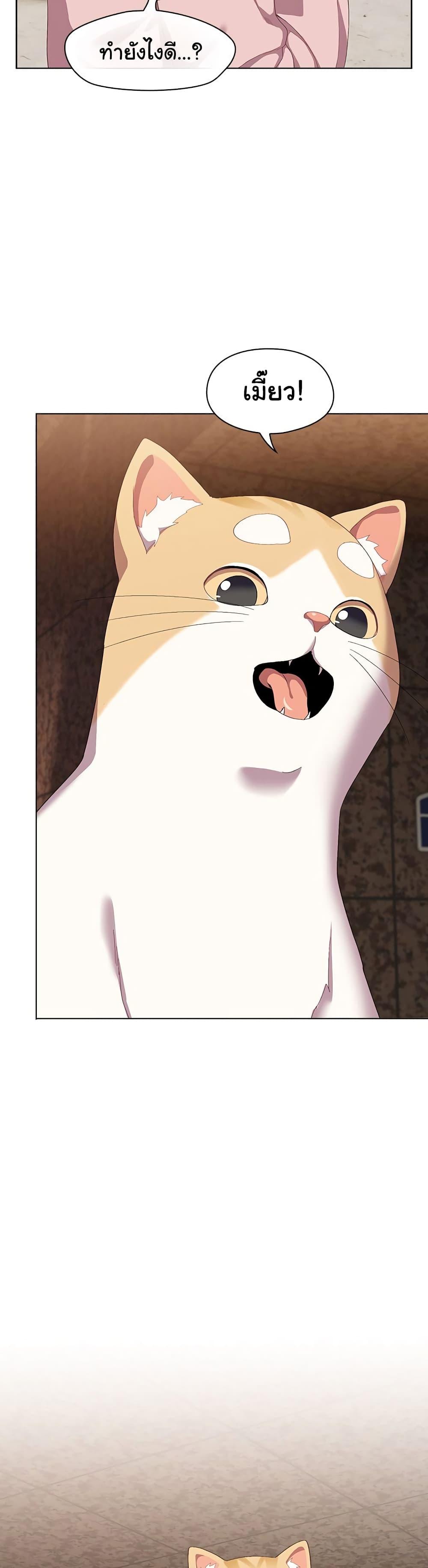 Doujin-Lc- อ่าน โดจิน มังฮวา เกาหลี ญี่ปุ่น จีน แปลไทย The Love Meowtchmaker ตอนที่ 1 2 3 4 5 6 7 8 9 10 11 12 13 14 ฟรี ไม่มีโฆษณา อ่าน โดจิน Manhwa เกาหลี ญี่ปุ่น จีน เรามีครบ คัดมาให้เน้นๆ โดจิน 18+ รับประกันความฟินโดย  Doujin Lc