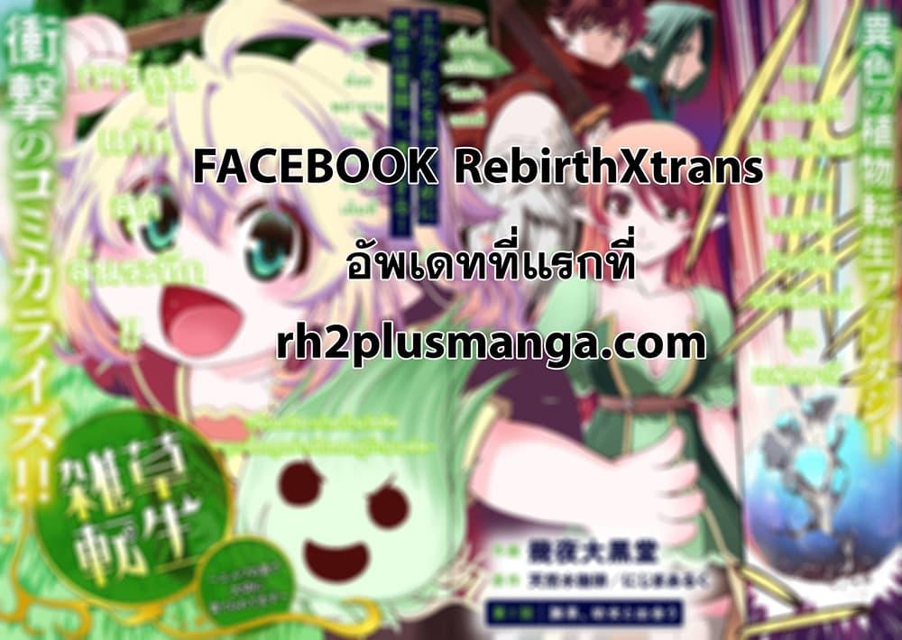 Manga-lc-com อ่านมังงะ อ่านการ์ตูน ออนไลน์ ฟรี Weed Reincarnation ~ Carefully Raised In The Elf Village ~ ตอนที่ 1 2 3 4 5 6 7 8 9 10 11 12 13 14 ฟรี ไม่มีโฆษณา Manga-lc - อ่าน มังงะ อ่าน การ์ตูน ออนไลน์ อ่านมังงะ ฟรี