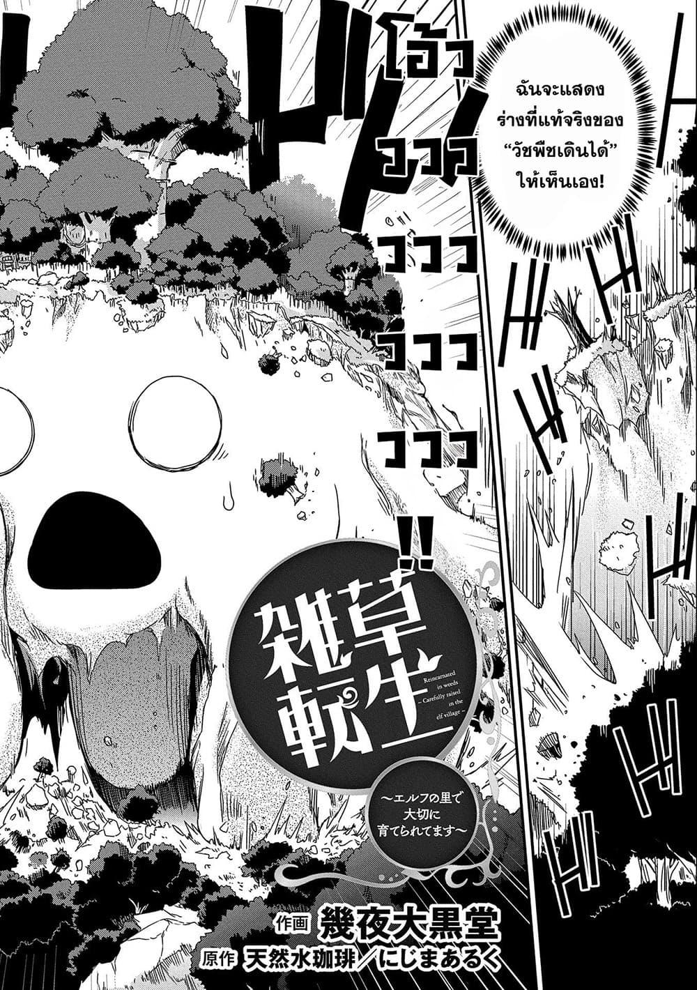 Manga-lc-com อ่านมังงะ อ่านการ์ตูน ออนไลน์ ฟรี Weed Reincarnation ~ Carefully Raised In The Elf Village ~ ตอนที่ 1 2 3 4 5 6 7 8 9 10 11 12 13 14 ฟรี ไม่มีโฆษณา Manga-lc - อ่าน มังงะ อ่าน การ์ตูน ออนไลน์ อ่านมังงะ ฟรี