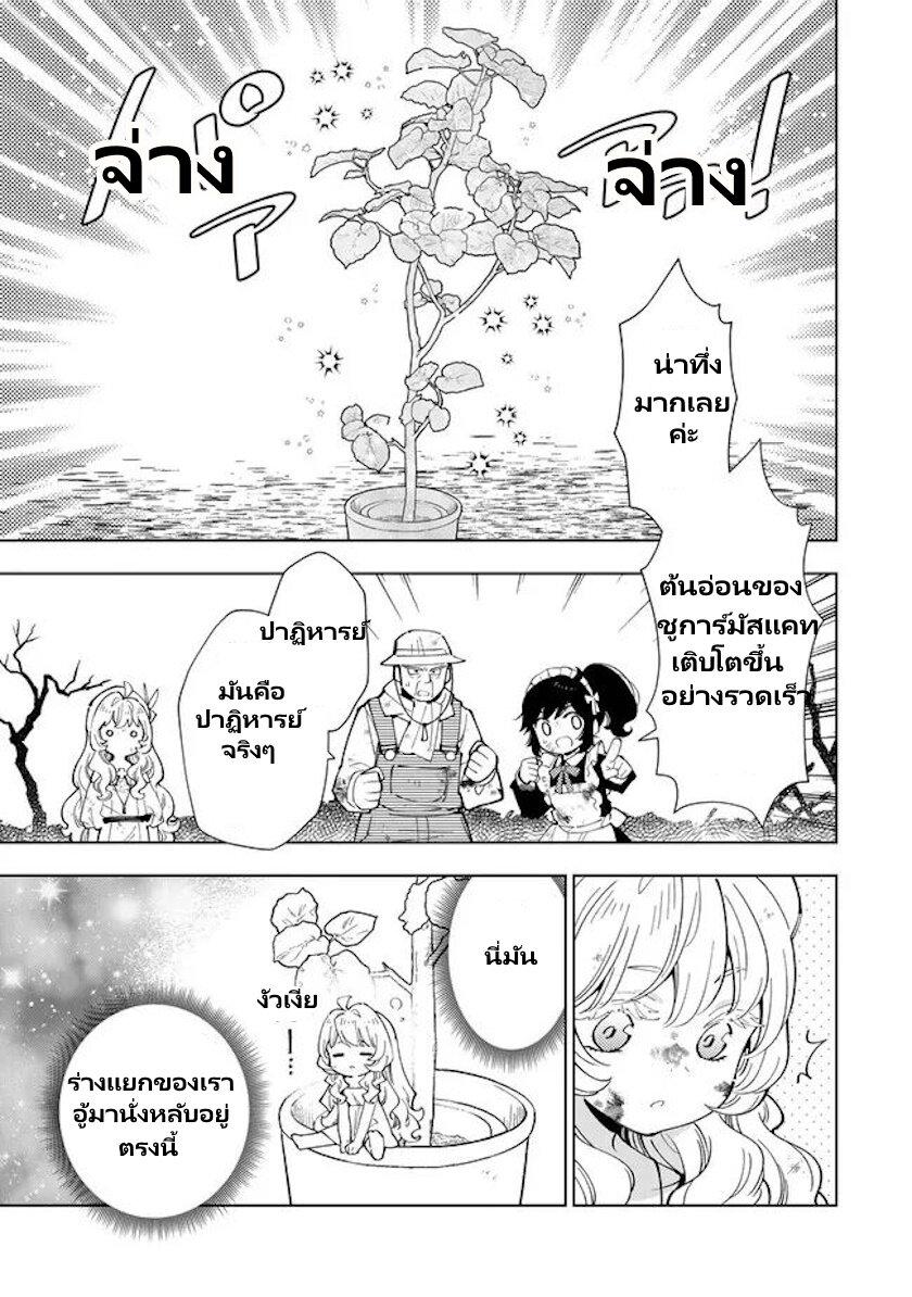 Manga-lc-com อ่านมังงะ อ่านการ์ตูน ออนไลน์ ฟรี Tensei Daiseijo no Isekai no Nonbiri Kikou ตอนที่ 1 2 3 4 5 6 7 8 9 10 11 12 13 14 ฟรี ไม่มีโฆษณา Manga-lc - อ่าน มังงะ อ่าน การ์ตูน ออนไลน์ อ่านมังงะ ฟรี