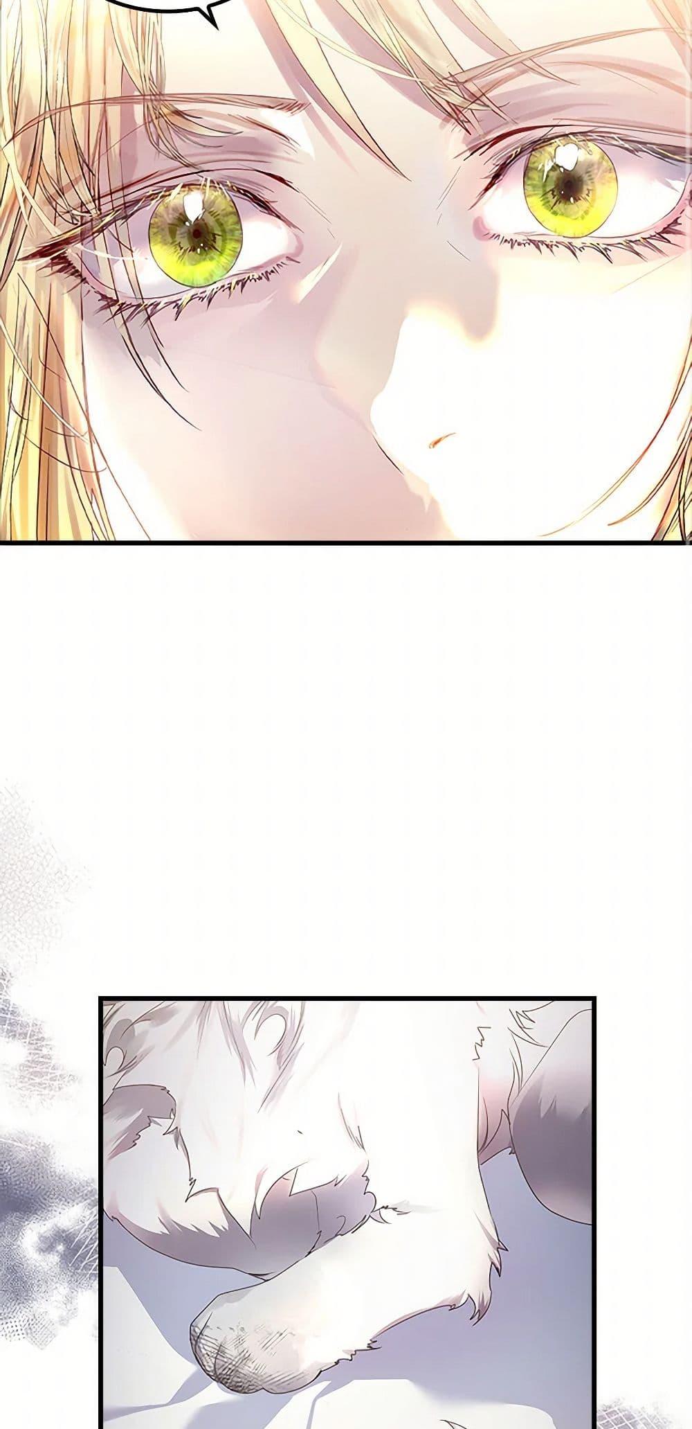 Manga-lc-com อ่านมังงะ อ่านการ์ตูน ออนไลน์ ฟรี I Raised the Nine-Tailed Fox Wrongly ตอนที่ 1 2 3 4 5 6 7 8 9 10 11 12 13 14 ฟรี ไม่มีโฆษณา Manga-lc - อ่าน มังงะ อ่าน การ์ตูน ออนไลน์ อ่านมังงะ ฟรี