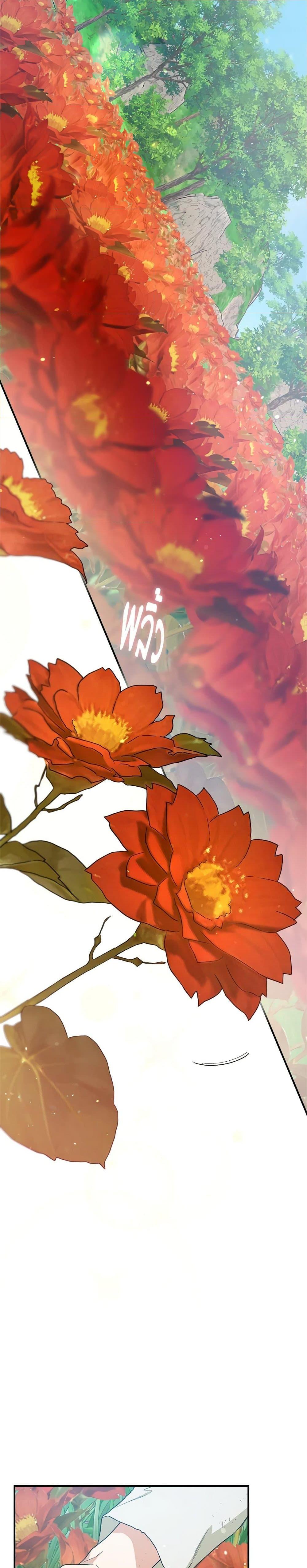 Manga-lc-com อ่านมังงะ อ่านการ์ตูน ออนไลน์ ฟรี I’m a Martial Art Villainess, but I’m the Strongest ตอนที่ 1 2 3 4 5 6 7 8 9 10 11 12 13 14 ฟรี ไม่มีโฆษณา Manga-lc - อ่าน มังงะ อ่าน การ์ตูน ออนไลน์ อ่านมังงะ ฟรี