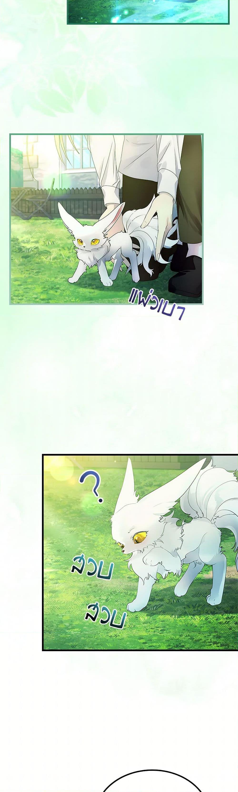 Manga-lc-com อ่านมังงะ อ่านการ์ตูน ออนไลน์ ฟรี I Raised the Nine-Tailed Fox Wrongly ตอนที่ 1 2 3 4 5 6 7 8 9 10 11 12 13 14 ฟรี ไม่มีโฆษณา Manga-lc - อ่าน มังงะ อ่าน การ์ตูน ออนไลน์ อ่านมังงะ ฟรี