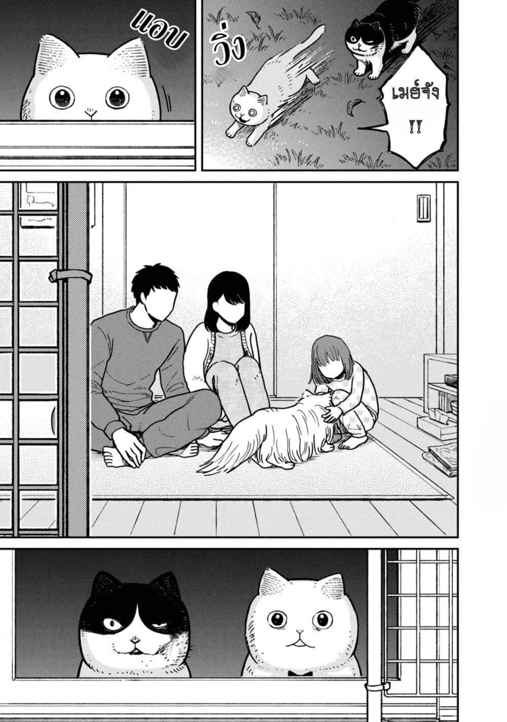 Manga-lc-com อ่านมังงะ อ่านการ์ตูน ออนไลน์ ฟรี Tsureneko – Maruru to Hachi ตอนที่ 1 2 3 4 5 6 7 8 9 10 11 12 13 14 ฟรี ไม่มีโฆษณา Manga-lc - อ่าน มังงะ อ่าน การ์ตูน ออนไลน์ อ่านมังงะ ฟรี