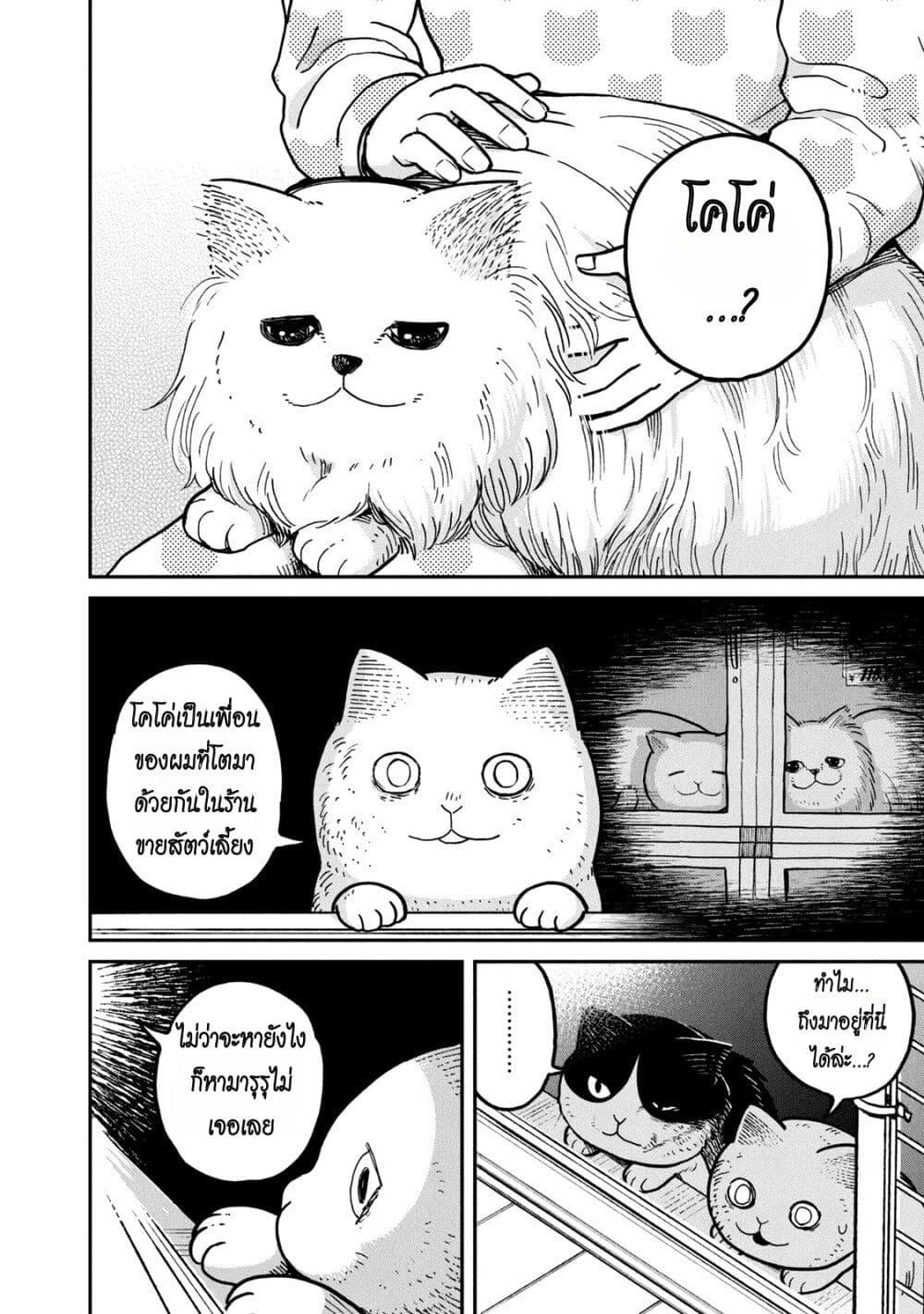 Manga-lc-com อ่านมังงะ อ่านการ์ตูน ออนไลน์ ฟรี Tsureneko – Maruru to Hachi ตอนที่ 1 2 3 4 5 6 7 8 9 10 11 12 13 14 ฟรี ไม่มีโฆษณา Manga-lc - อ่าน มังงะ อ่าน การ์ตูน ออนไลน์ อ่านมังงะ ฟรี