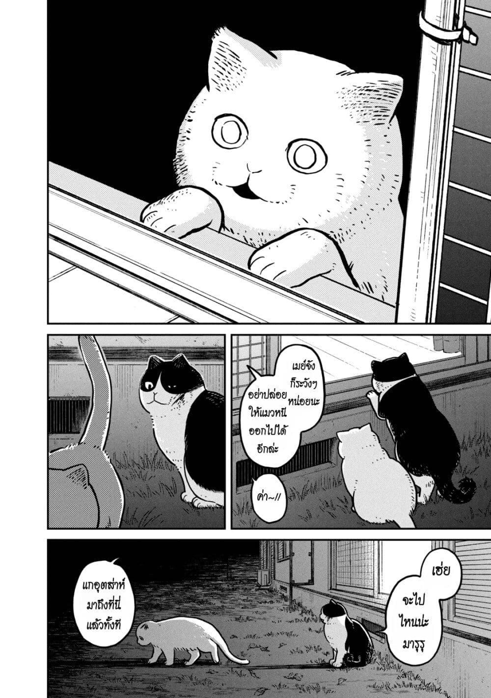 Manga-lc-com อ่านมังงะ อ่านการ์ตูน ออนไลน์ ฟรี Tsureneko – Maruru to Hachi ตอนที่ 1 2 3 4 5 6 7 8 9 10 11 12 13 14 ฟรี ไม่มีโฆษณา Manga-lc - อ่าน มังงะ อ่าน การ์ตูน ออนไลน์ อ่านมังงะ ฟรี
