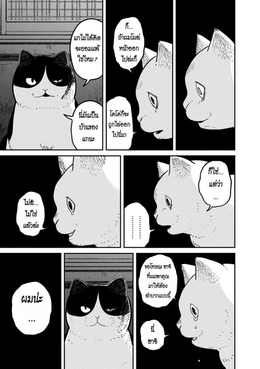 Manga-lc-com อ่านมังงะ อ่านการ์ตูน ออนไลน์ ฟรี Tsureneko – Maruru to Hachi ตอนที่ 1 2 3 4 5 6 7 8 9 10 11 12 13 14 ฟรี ไม่มีโฆษณา Manga-lc - อ่าน มังงะ อ่าน การ์ตูน ออนไลน์ อ่านมังงะ ฟรี