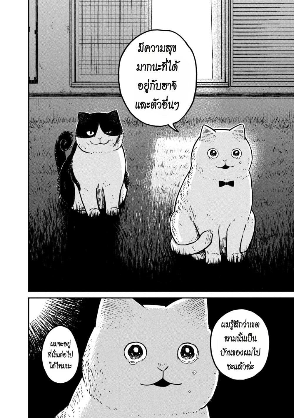 Manga-lc-com อ่านมังงะ อ่านการ์ตูน ออนไลน์ ฟรี Tsureneko – Maruru to Hachi ตอนที่ 1 2 3 4 5 6 7 8 9 10 11 12 13 14 ฟรี ไม่มีโฆษณา Manga-lc - อ่าน มังงะ อ่าน การ์ตูน ออนไลน์ อ่านมังงะ ฟรี