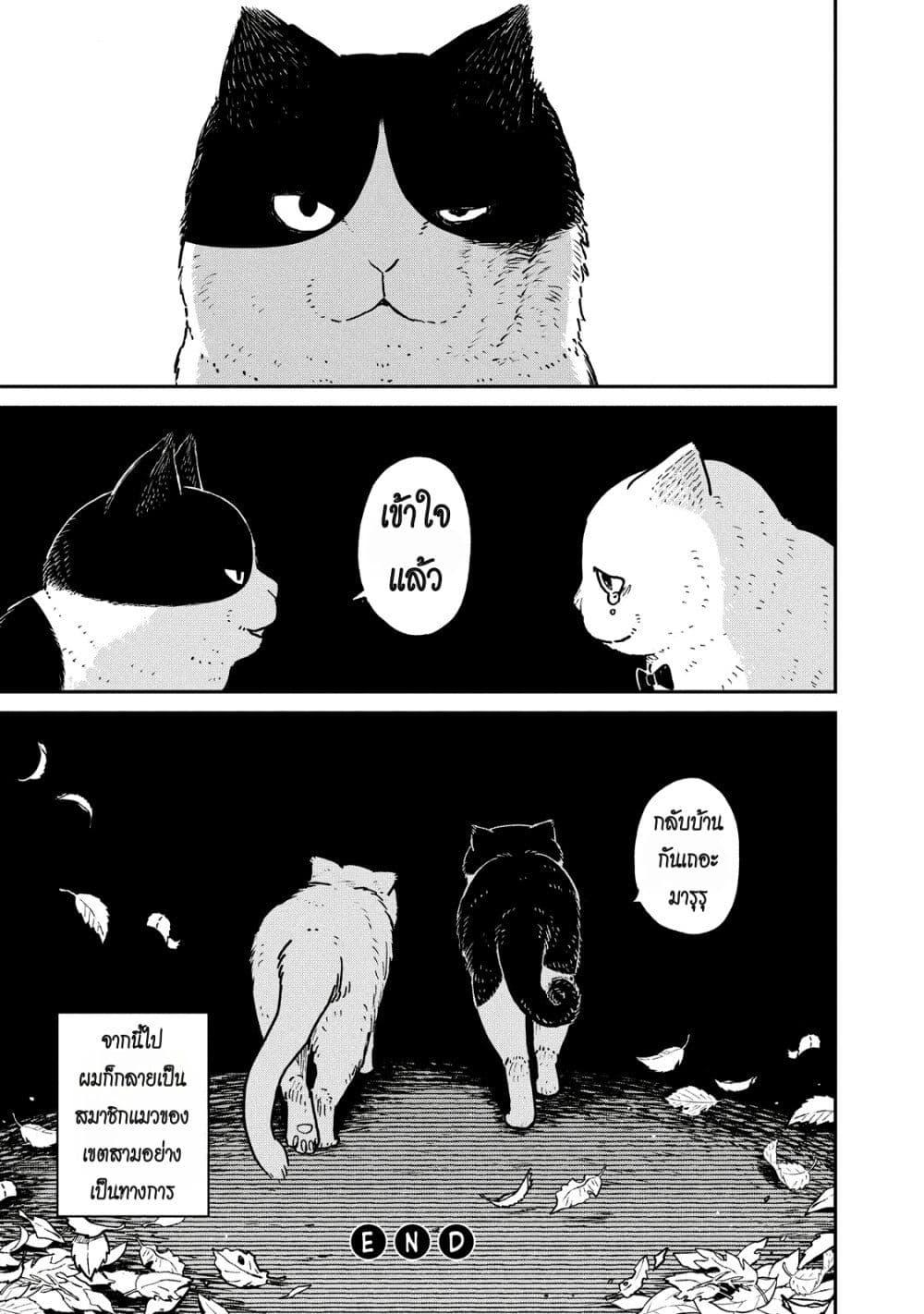 Manga-lc-com อ่านมังงะ อ่านการ์ตูน ออนไลน์ ฟรี Tsureneko – Maruru to Hachi ตอนที่ 1 2 3 4 5 6 7 8 9 10 11 12 13 14 ฟรี ไม่มีโฆษณา Manga-lc - อ่าน มังงะ อ่าน การ์ตูน ออนไลน์ อ่านมังงะ ฟรี