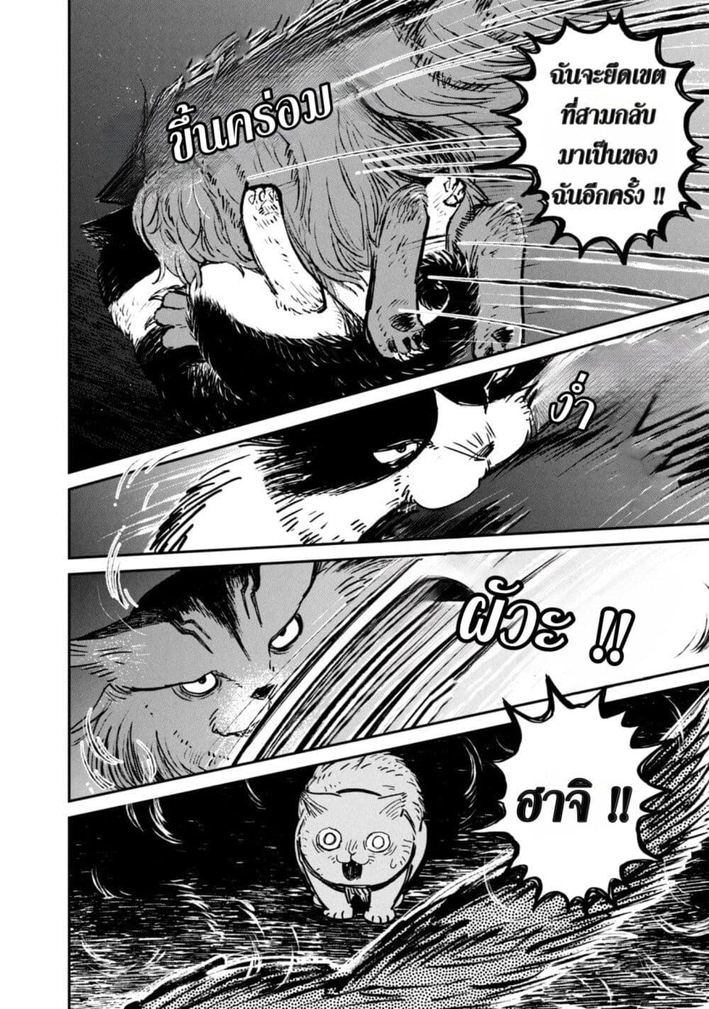 Manga-lc-com อ่านมังงะ อ่านการ์ตูน ออนไลน์ ฟรี Tsureneko – Maruru to Hachi ตอนที่ 1 2 3 4 5 6 7 8 9 10 11 12 13 14 ฟรี ไม่มีโฆษณา Manga-lc - อ่าน มังงะ อ่าน การ์ตูน ออนไลน์ อ่านมังงะ ฟรี