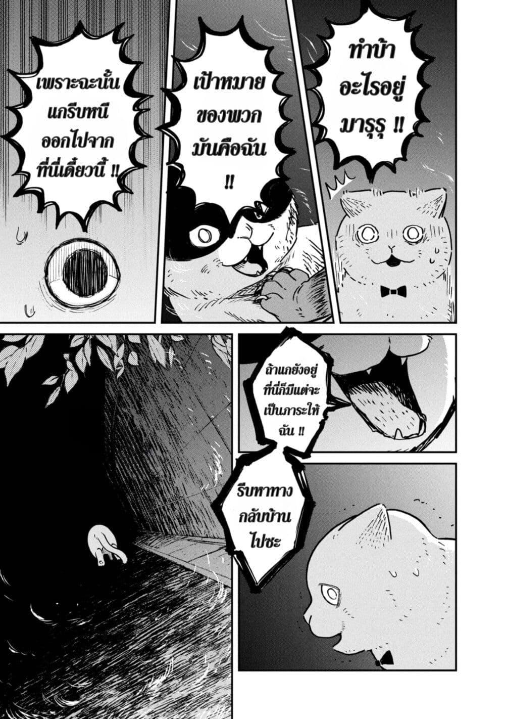 Manga-lc-com อ่านมังงะ อ่านการ์ตูน ออนไลน์ ฟรี Tsureneko – Maruru to Hachi ตอนที่ 1 2 3 4 5 6 7 8 9 10 11 12 13 14 ฟรี ไม่มีโฆษณา Manga-lc - อ่าน มังงะ อ่าน การ์ตูน ออนไลน์ อ่านมังงะ ฟรี