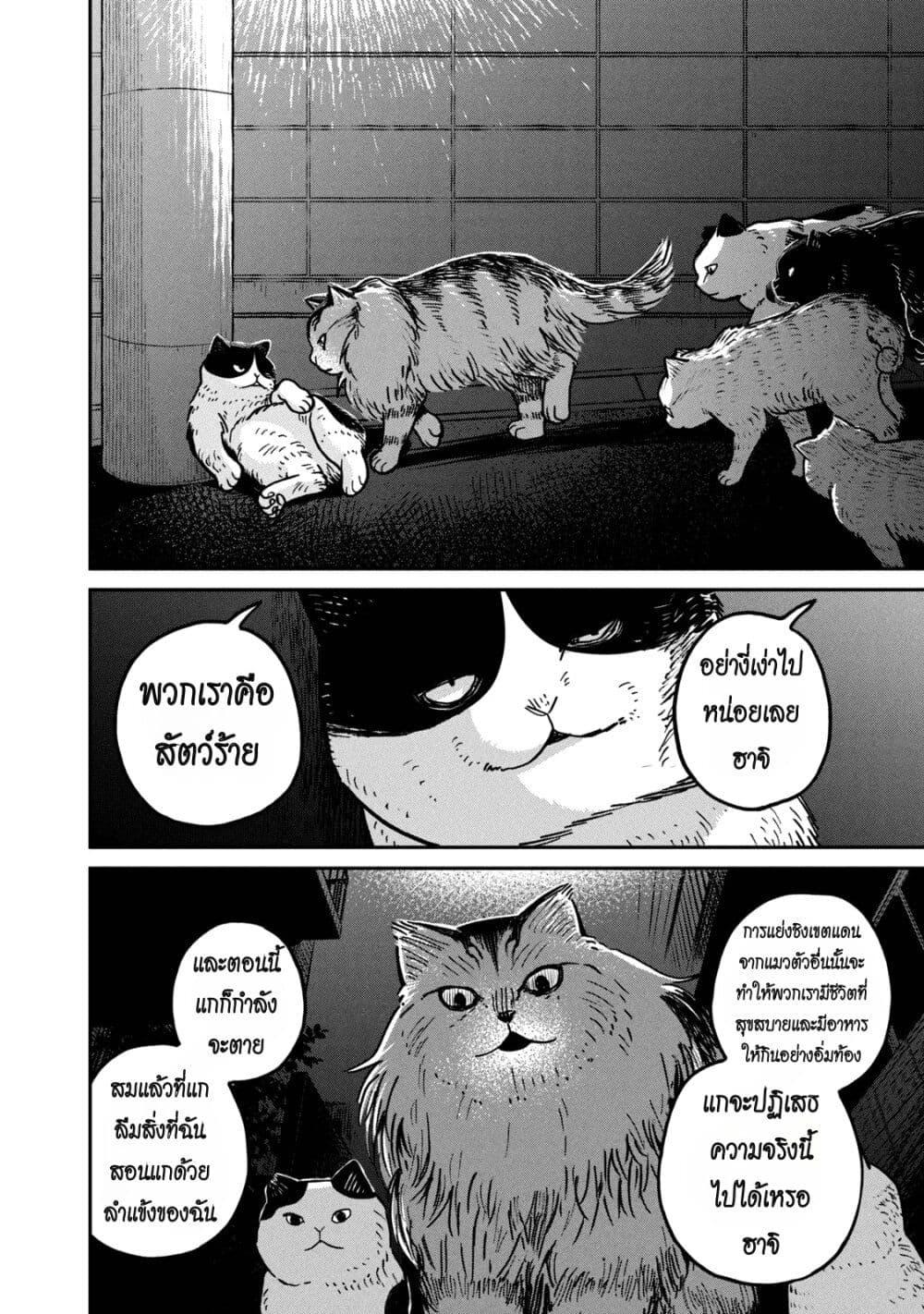 Manga-lc-com อ่านมังงะ อ่านการ์ตูน ออนไลน์ ฟรี Tsureneko – Maruru to Hachi ตอนที่ 1 2 3 4 5 6 7 8 9 10 11 12 13 14 ฟรี ไม่มีโฆษณา Manga-lc - อ่าน มังงะ อ่าน การ์ตูน ออนไลน์ อ่านมังงะ ฟรี