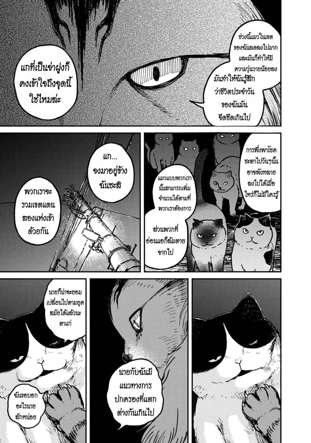 Manga-lc-com อ่านมังงะ อ่านการ์ตูน ออนไลน์ ฟรี Tsureneko – Maruru to Hachi ตอนที่ 1 2 3 4 5 6 7 8 9 10 11 12 13 14 ฟรี ไม่มีโฆษณา Manga-lc - อ่าน มังงะ อ่าน การ์ตูน ออนไลน์ อ่านมังงะ ฟรี