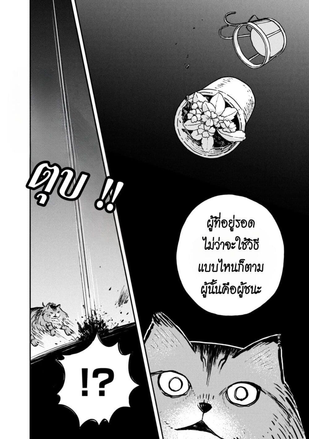 Manga-lc-com อ่านมังงะ อ่านการ์ตูน ออนไลน์ ฟรี Tsureneko – Maruru to Hachi ตอนที่ 1 2 3 4 5 6 7 8 9 10 11 12 13 14 ฟรี ไม่มีโฆษณา Manga-lc - อ่าน มังงะ อ่าน การ์ตูน ออนไลน์ อ่านมังงะ ฟรี