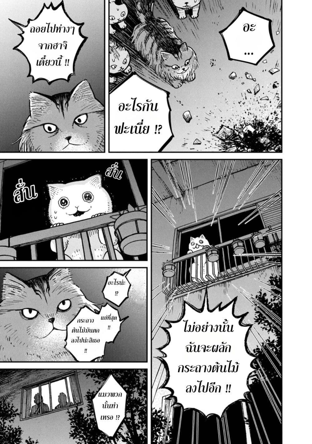 Manga-lc-com อ่านมังงะ อ่านการ์ตูน ออนไลน์ ฟรี Tsureneko – Maruru to Hachi ตอนที่ 1 2 3 4 5 6 7 8 9 10 11 12 13 14 ฟรี ไม่มีโฆษณา Manga-lc - อ่าน มังงะ อ่าน การ์ตูน ออนไลน์ อ่านมังงะ ฟรี