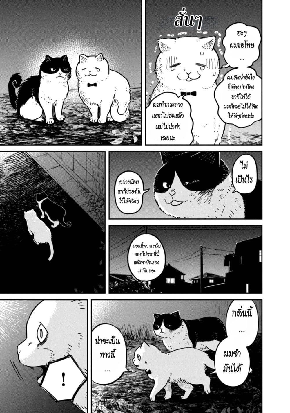 Manga-lc-com อ่านมังงะ อ่านการ์ตูน ออนไลน์ ฟรี Tsureneko – Maruru to Hachi ตอนที่ 1 2 3 4 5 6 7 8 9 10 11 12 13 14 ฟรี ไม่มีโฆษณา Manga-lc - อ่าน มังงะ อ่าน การ์ตูน ออนไลน์ อ่านมังงะ ฟรี