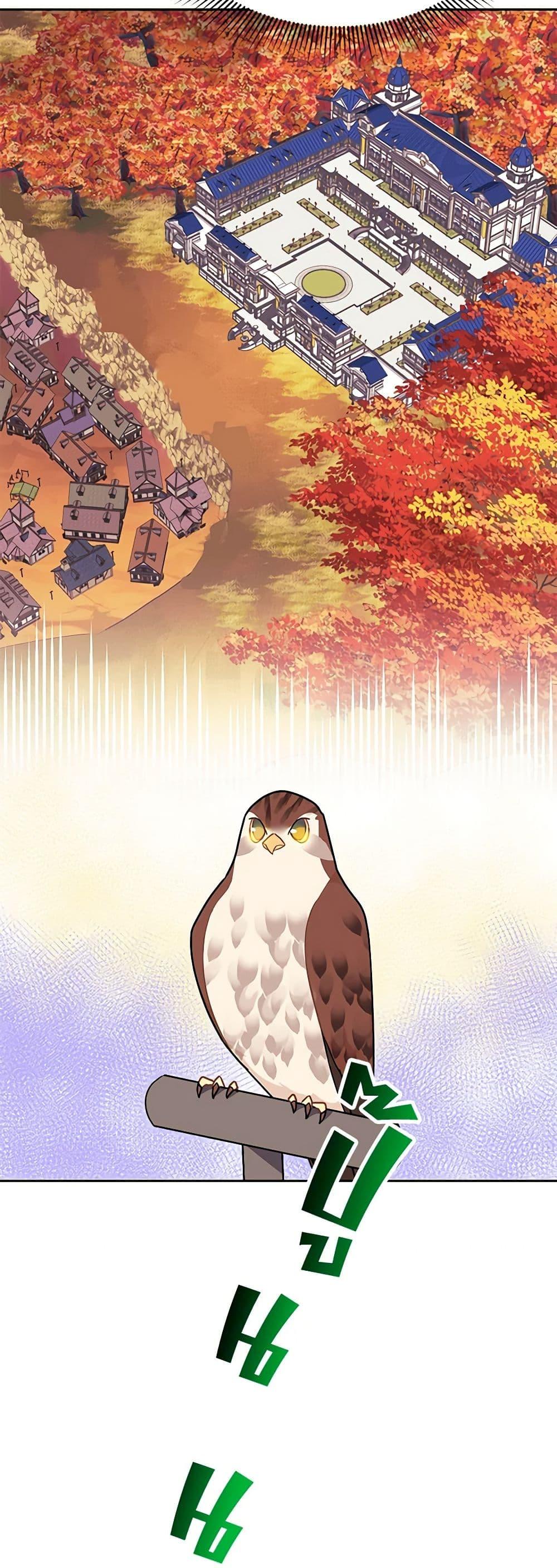 Manga-lc-com อ่านมังงะ อ่านการ์ตูน ออนไลน์ ฟรี The Falcon Princess ตอนที่ 1 2 3 4 5 6 7 8 9 10 11 12 13 14 ฟรี ไม่มีโฆษณา Manga-lc - อ่าน มังงะ อ่าน การ์ตูน ออนไลน์ อ่านมังงะ ฟรี