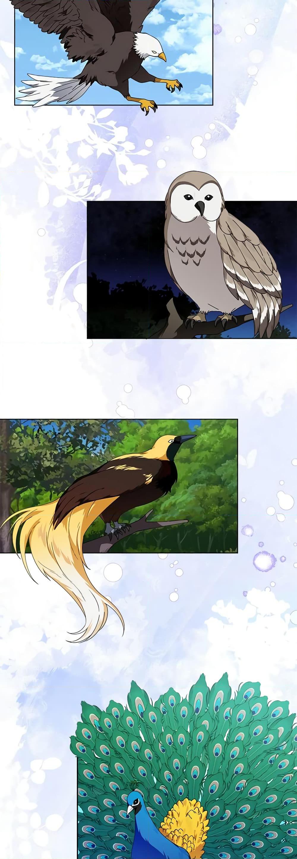 Manga-lc-com อ่านมังงะ อ่านการ์ตูน ออนไลน์ ฟรี The Bird Empress ตอนที่ 1 2 3 4 5 6 7 8 9 10 11 12 13 14 ฟรี ไม่มีโฆษณา Manga-lc - อ่าน มังงะ อ่าน การ์ตูน ออนไลน์ อ่านมังงะ ฟรี