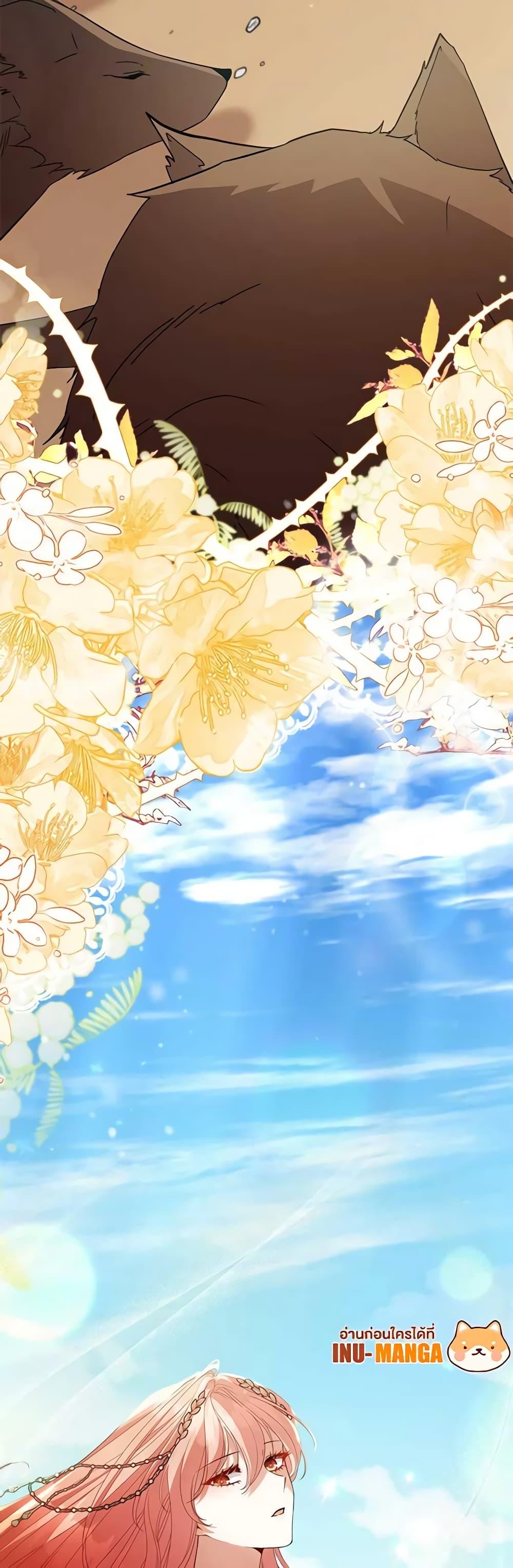 Manga-lc-com อ่านมังงะ อ่านการ์ตูน ออนไลน์ ฟรี Solitary Lady ตอนที่ 1 2 3 4 5 6 7 8 9 10 11 12 13 14 ฟรี ไม่มีโฆษณา Manga-lc - อ่าน มังงะ อ่าน การ์ตูน ออนไลน์ อ่านมังงะ ฟรี