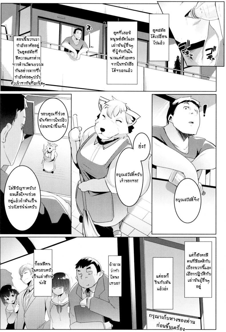 Doujin-Lc- อ่าน โดจิน มังฮวา เกาหลี ญี่ปุ่น จีน แปลไทย น้องสาวของผมเป็นยักษ์!! (C97) [Hitsuji Kikaku (Muneshiro)] Imouto wa Mesu Orc My Little Sister is an Orc ตอนที่ 1 2 3 4 5 6 7 8 9 10 11 12 13 14 ฟรี ไม่มีโฆษณา อ่าน โดจิน Manhwa เกาหลี ญี่ปุ่น จีน เรามีครบ คัดมาให้เน้นๆ โดจิน 18+ รับประกันความฟินโดย  Doujin Lc