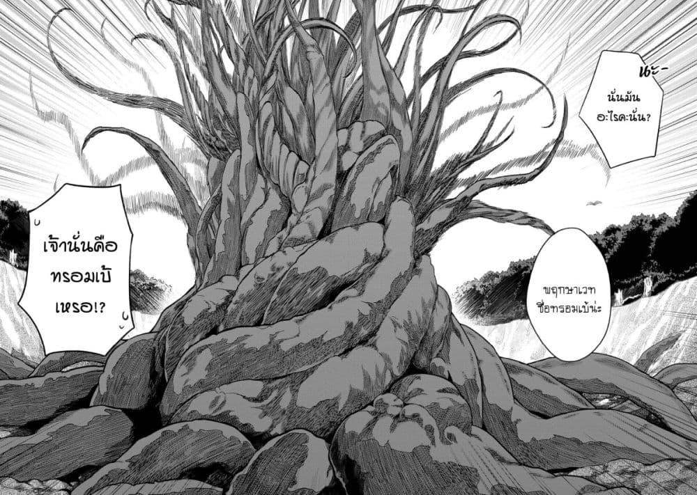 Manga-lc-com อ่านมังงะ อ่านการ์ตูน ออนไลน์ ฟรี Honzuki no Gekokujou Part 2 ตอนที่ 1 2 3 4 5 6 7 8 9 10 11 12 13 14 ฟรี ไม่มีโฆษณา Manga-lc - อ่าน มังงะ อ่าน การ์ตูน ออนไลน์ อ่านมังงะ ฟรี