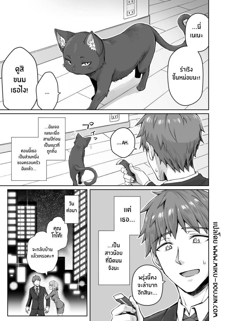 Doujin-Lc- อ่าน โดจิน มังฮวา เกาหลี ญี่ปุ่น จีน แปลไทย เเมวสัตว์เลี้ยงยันเดเระของผม[KOYUKI-ya (Koyuki, Yaki Tomato)] Uchi no Yandere na Kaineko-chan ni Mechakucha ni Shiborarechau Hanashi ตอนที่ 1 2 3 4 5 6 7 8 9 10 11 12 13 14 ฟรี ไม่มีโฆษณา อ่าน โดจิน Manhwa เกาหลี ญี่ปุ่น จีน เรามีครบ คัดมาให้เน้นๆ โดจิน 18+ รับประกันความฟินโดย  Doujin Lc