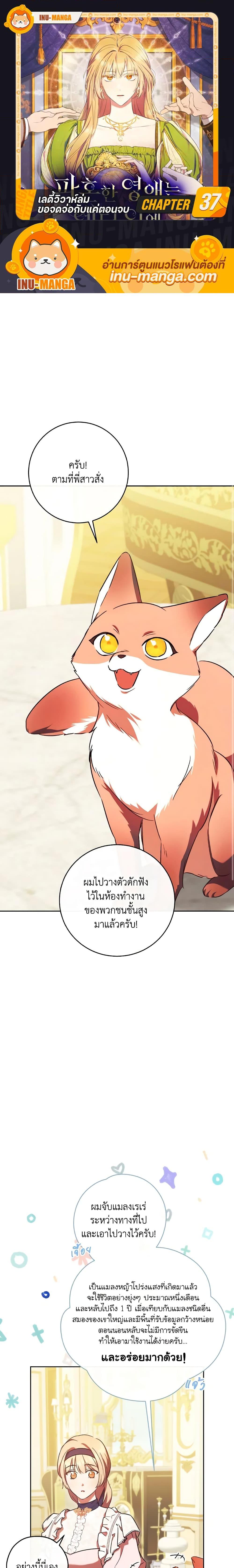 Manga-lc-com อ่านมังงะ อ่านการ์ตูน ออนไลน์ ฟรี I Just Want My Happy Ending! ตอนที่ 1 2 3 4 5 6 7 8 9 10 11 12 13 14 ฟรี ไม่มีโฆษณา Manga-lc - อ่าน มังงะ อ่าน การ์ตูน ออนไลน์ อ่านมังงะ ฟรี