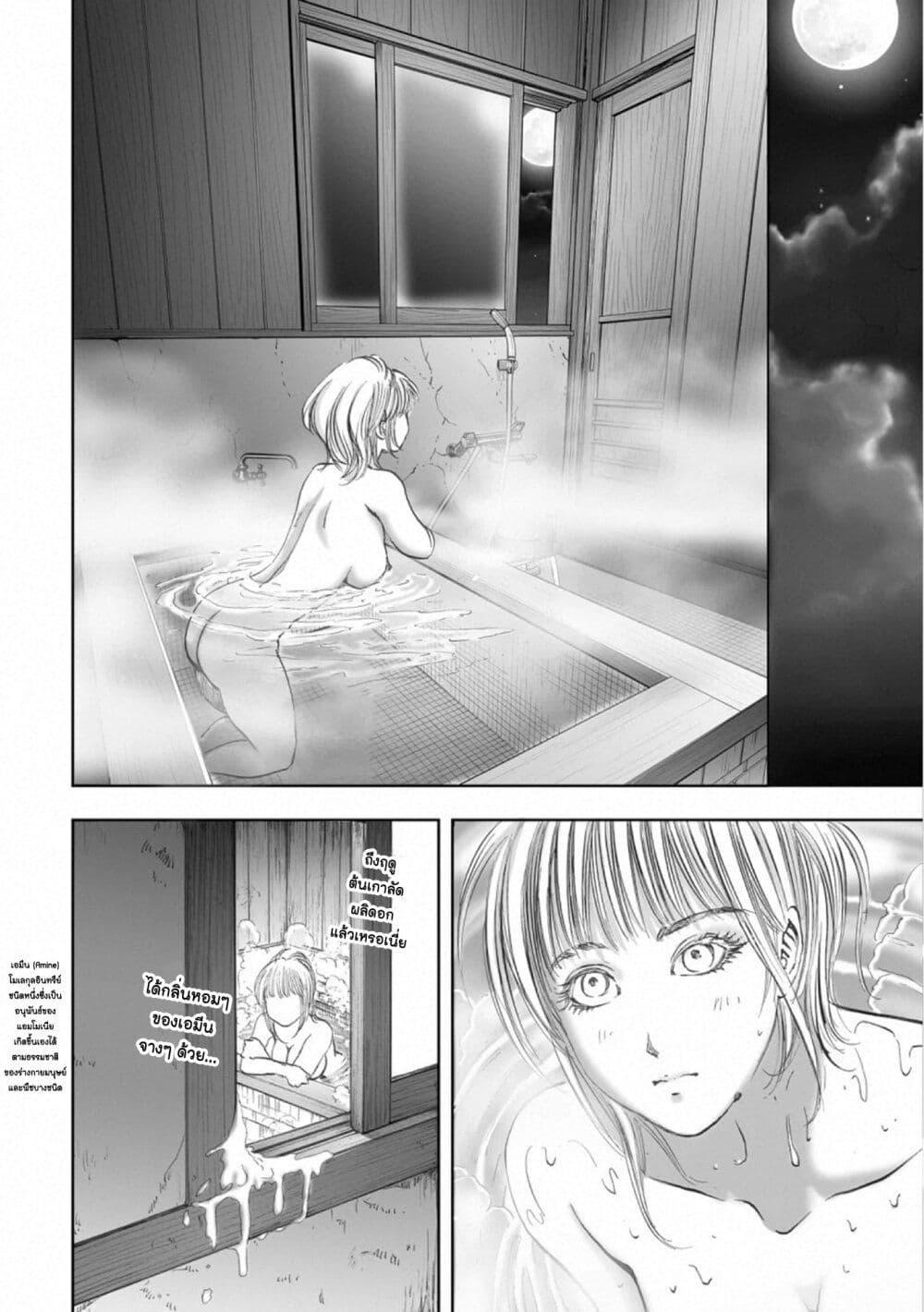 Manga-lc-com อ่านมังงะ อ่านการ์ตูน ออนไลน์ ฟรี Mura Matsuri ตอนที่ 1 2 3 4 5 6 7 8 9 10 11 12 13 14 ฟรี ไม่มีโฆษณา Manga-lc - อ่าน มังงะ อ่าน การ์ตูน ออนไลน์ อ่านมังงะ ฟรี