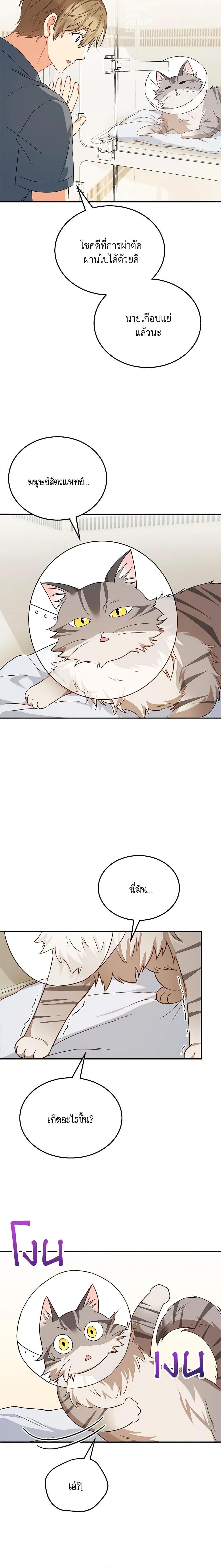 Manga-lc-com อ่านมังงะ อ่านการ์ตูน ออนไลน์ ฟรี Hello! Veterinarian! ตอนที่ 1 2 3 4 5 6 7 8 9 10 11 12 13 14 ฟรี ไม่มีโฆษณา Manga-lc - อ่าน มังงะ อ่าน การ์ตูน ออนไลน์ อ่านมังงะ ฟรี
