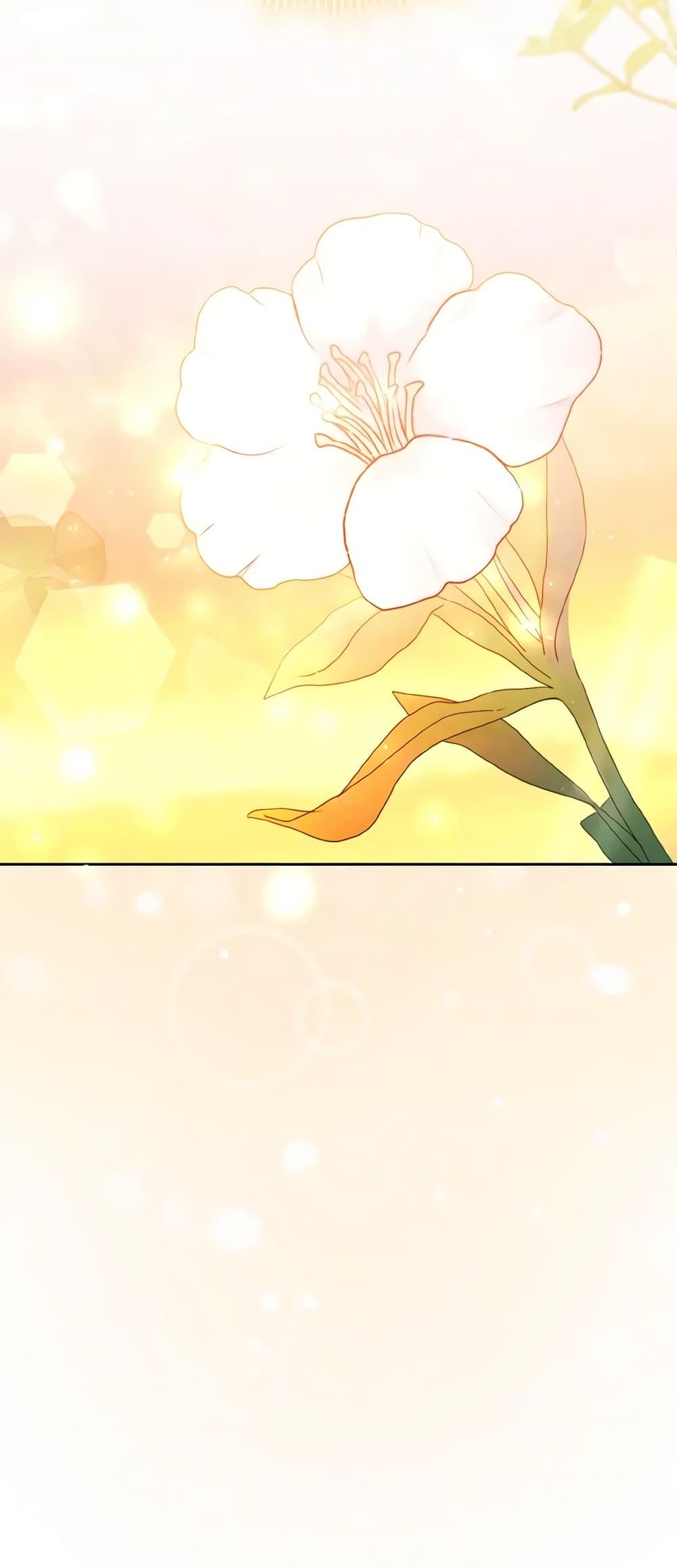 Manga-lc-com อ่านมังงะ อ่านการ์ตูน ออนไลน์ ฟรี Cinderella Disappeared ตอนที่ 1 2 3 4 5 6 7 8 9 10 11 12 13 14 ฟรี ไม่มีโฆษณา Manga-lc - อ่าน มังงะ อ่าน การ์ตูน ออนไลน์ อ่านมังงะ ฟรี