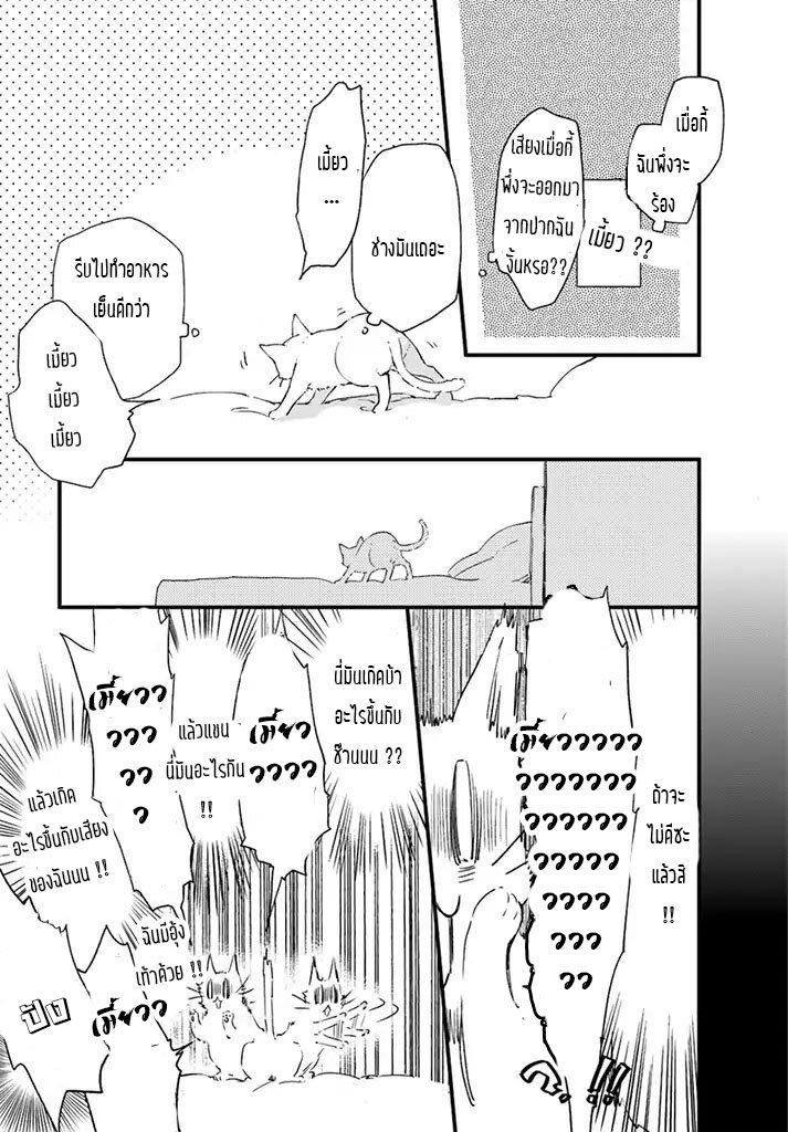 Manga-lc-com อ่านมังงะ อ่านการ์ตูน ออนไลน์ ฟรี Fukushuu wo Chikatta Shironeko wa Ryuuou no Hiza no Ue de Damin wo Musaboru ตอนที่ 1 2 3 4 5 6 7 8 9 10 11 12 13 14 ฟรี ไม่มีโฆษณา Manga-lc - อ่าน มังงะ อ่าน การ์ตูน ออนไลน์ อ่านมังงะ ฟรี