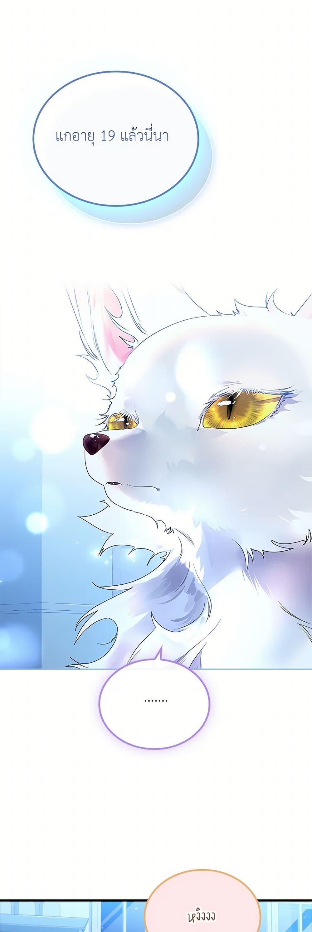 Manga-lc-com อ่านมังงะ อ่านการ์ตูน ออนไลน์ ฟรี I Raised the Nine-Tailed Fox Wrongly ตอนที่ 1 2 3 4 5 6 7 8 9 10 11 12 13 14 ฟรี ไม่มีโฆษณา Manga-lc - อ่าน มังงะ อ่าน การ์ตูน ออนไลน์ อ่านมังงะ ฟรี