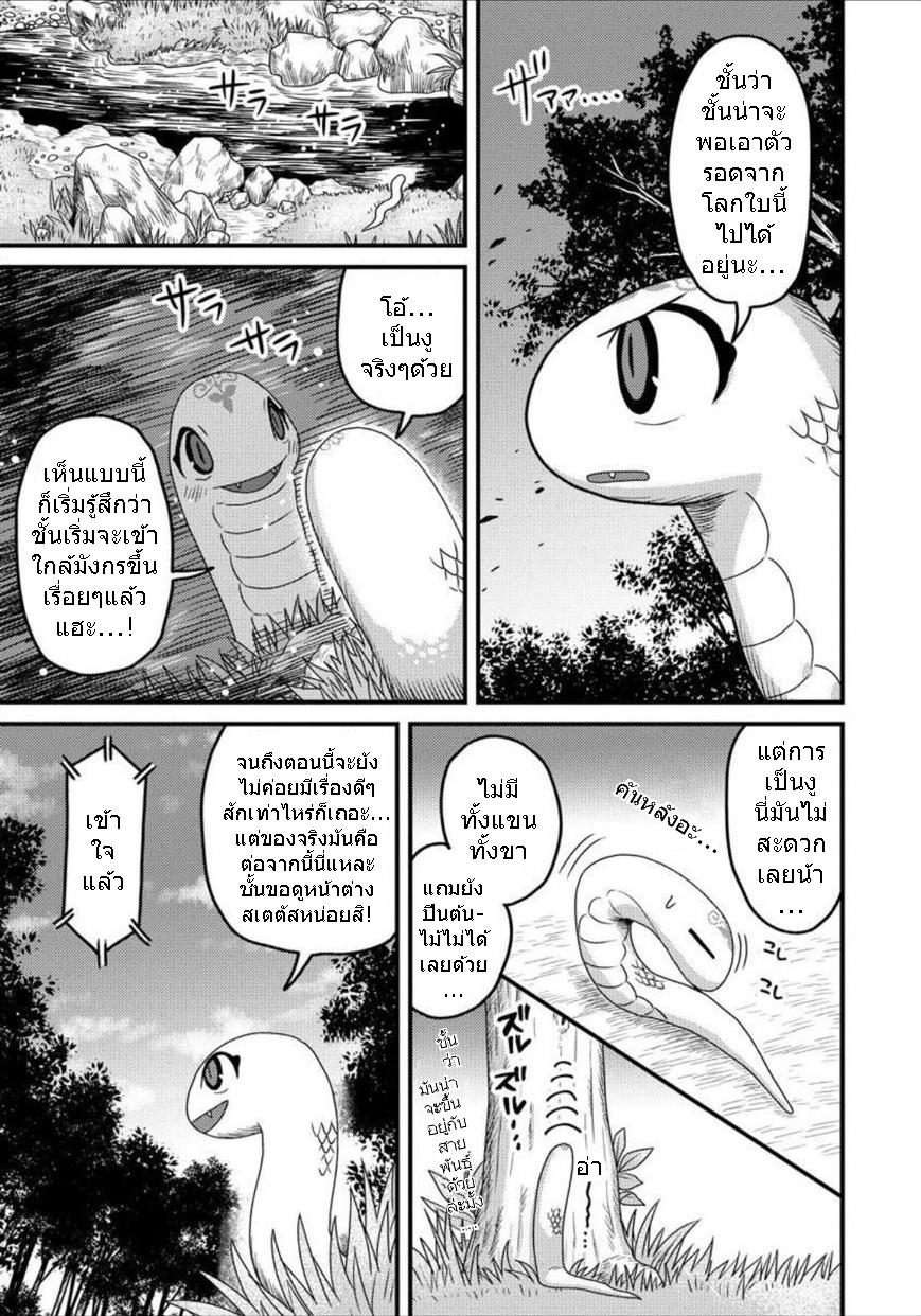 Manga-lc-com อ่านมังงะ อ่านการ์ตูน ออนไลน์ ฟรี เกิดใหม่เป็นลูกปลาในต่างโลก! ตอนที่ 1 2 3 4 5 6 7 8 9 10 11 12 13 14 ฟรี ไม่มีโฆษณา Manga-lc - อ่าน มังงะ อ่าน การ์ตูน ออนไลน์ อ่านมังงะ ฟรี