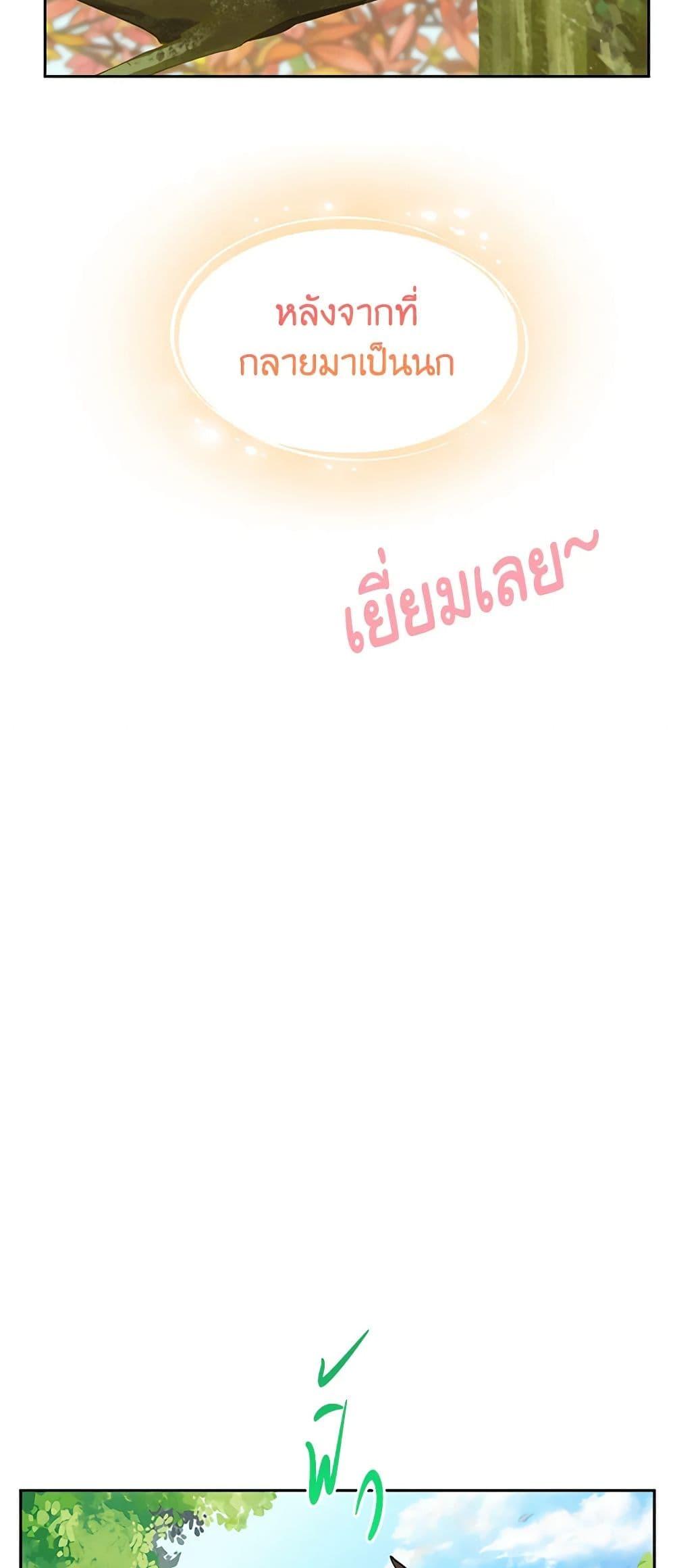 Manga-lc-com อ่านมังงะ อ่านการ์ตูน ออนไลน์ ฟรี The Falcon Princess ตอนที่ 1 2 3 4 5 6 7 8 9 10 11 12 13 14 ฟรี ไม่มีโฆษณา Manga-lc - อ่าน มังงะ อ่าน การ์ตูน ออนไลน์ อ่านมังงะ ฟรี