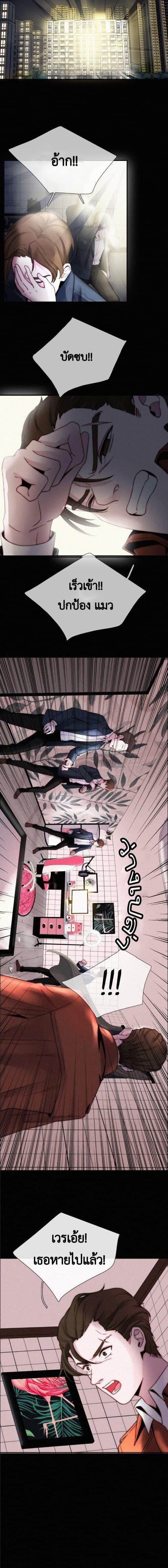 Manga-lc-com อ่านมังงะ อ่านการ์ตูน ออนไลน์ ฟรี A Cat’s Maze ตอนที่ 1 2 3 4 5 6 7 8 9 10 11 12 13 14 ฟรี ไม่มีโฆษณา Manga-lc - อ่าน มังงะ อ่าน การ์ตูน ออนไลน์ อ่านมังงะ ฟรี