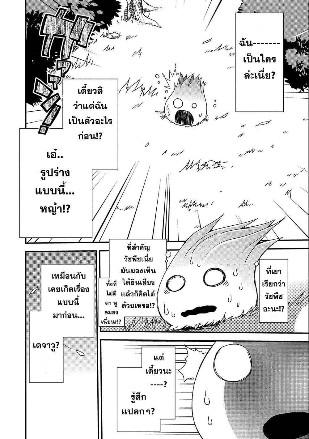 Manga-lc-com อ่านมังงะ อ่านการ์ตูน ออนไลน์ ฟรี Weed Reincarnation ~ Carefully Raised In The Elf Village ~ ตอนที่ 1 2 3 4 5 6 7 8 9 10 11 12 13 14 ฟรี ไม่มีโฆษณา Manga-lc - อ่าน มังงะ อ่าน การ์ตูน ออนไลน์ อ่านมังงะ ฟรี