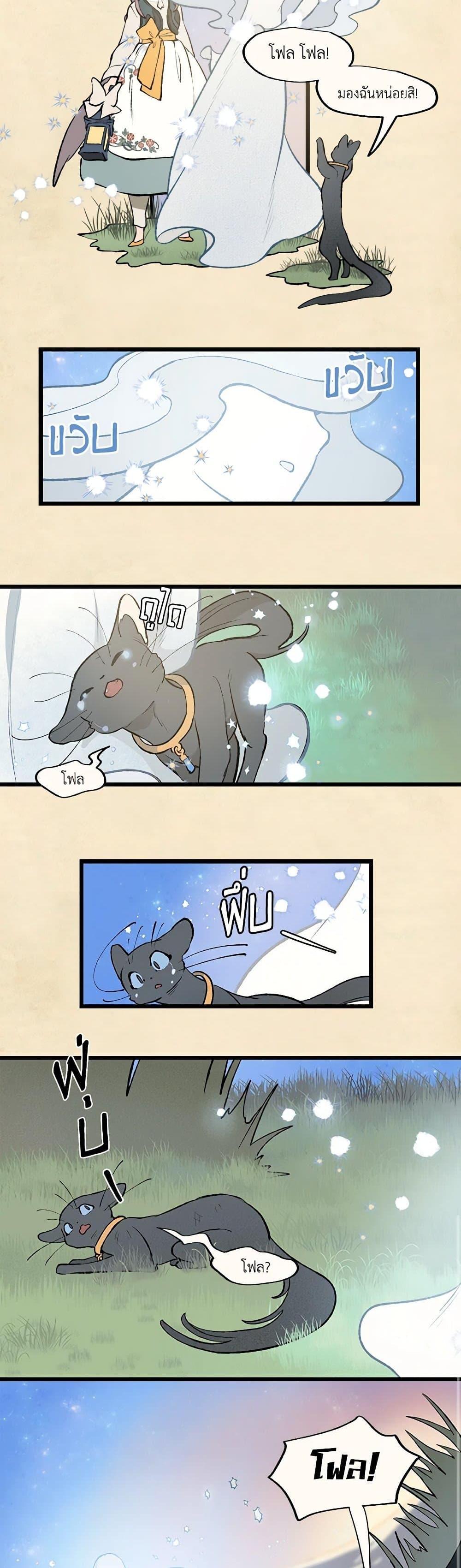 Manga-lc-com อ่านมังงะ อ่านการ์ตูน ออนไลน์ ฟรี Wait Where the Shooting Star Falls ตอนที่ 1 2 3 4 5 6 7 8 9 10 11 12 13 14 ฟรี ไม่มีโฆษณา Manga-lc - อ่าน มังงะ อ่าน การ์ตูน ออนไลน์ อ่านมังงะ ฟรี