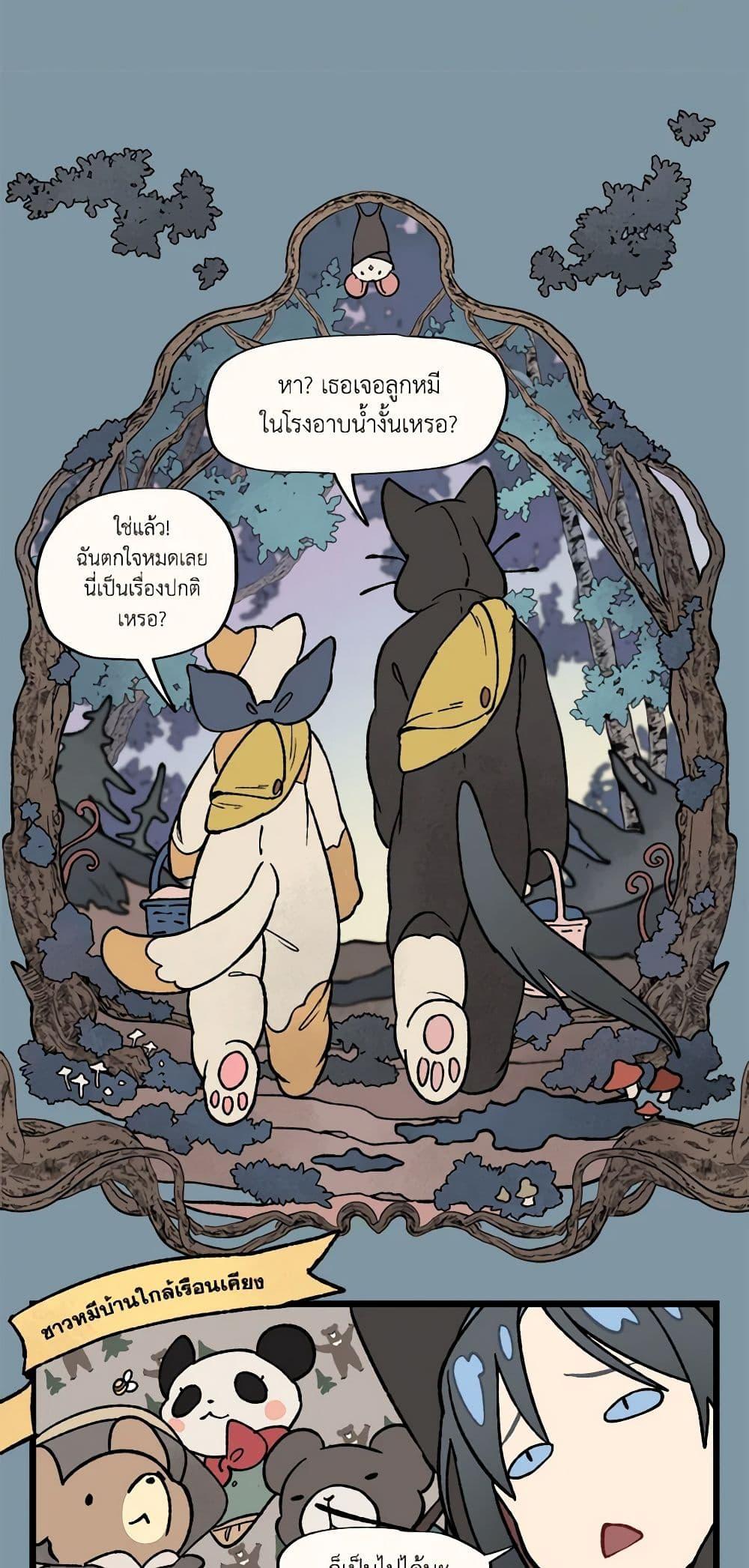 Manga-lc-com อ่านมังงะ อ่านการ์ตูน ออนไลน์ ฟรี Wait Where the Shooting Star Falls ตอนที่ 1 2 3 4 5 6 7 8 9 10 11 12 13 14 ฟรี ไม่มีโฆษณา Manga-lc - อ่าน มังงะ อ่าน การ์ตูน ออนไลน์ อ่านมังงะ ฟรี