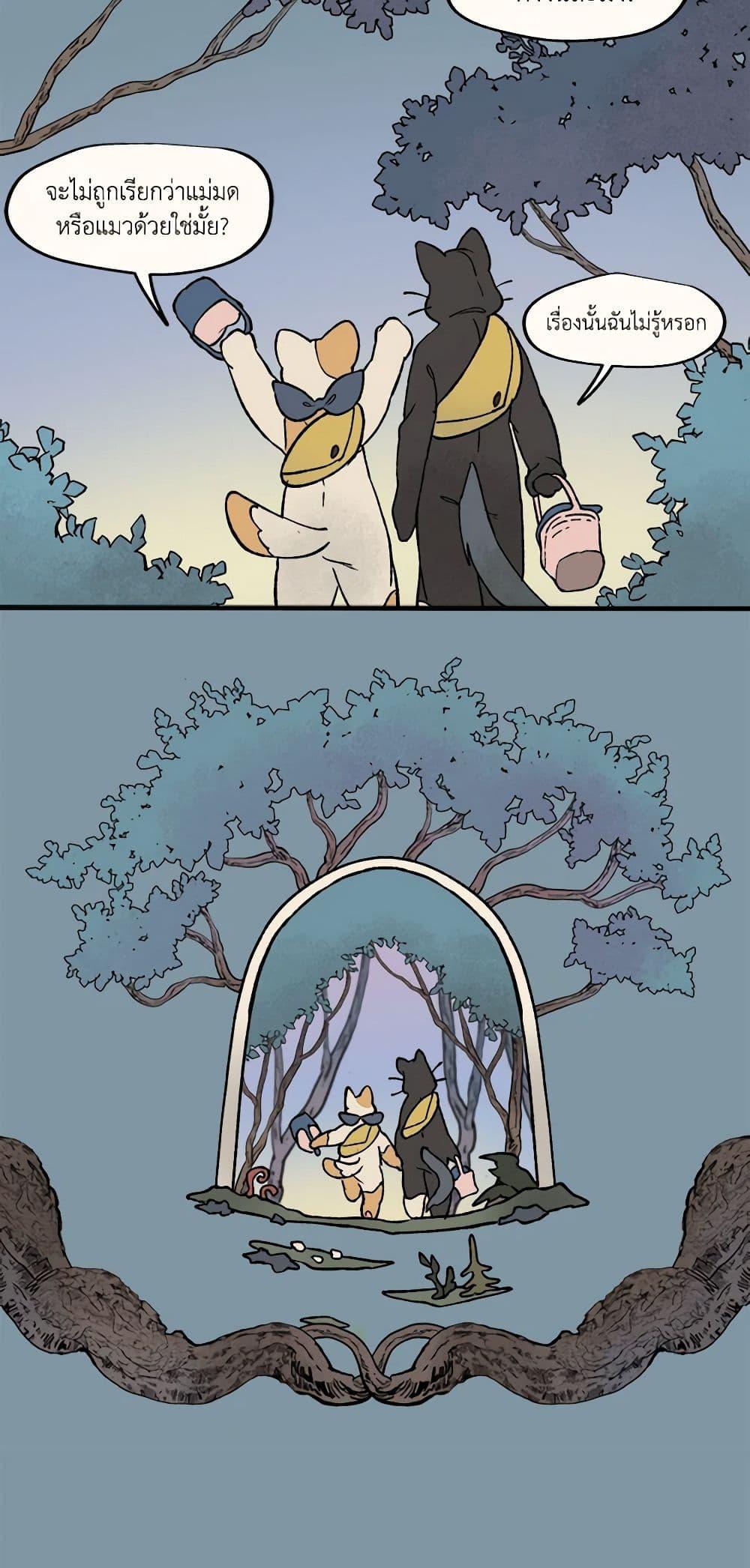 Manga-lc-com อ่านมังงะ อ่านการ์ตูน ออนไลน์ ฟรี Wait Where the Shooting Star Falls ตอนที่ 1 2 3 4 5 6 7 8 9 10 11 12 13 14 ฟรี ไม่มีโฆษณา Manga-lc - อ่าน มังงะ อ่าน การ์ตูน ออนไลน์ อ่านมังงะ ฟรี