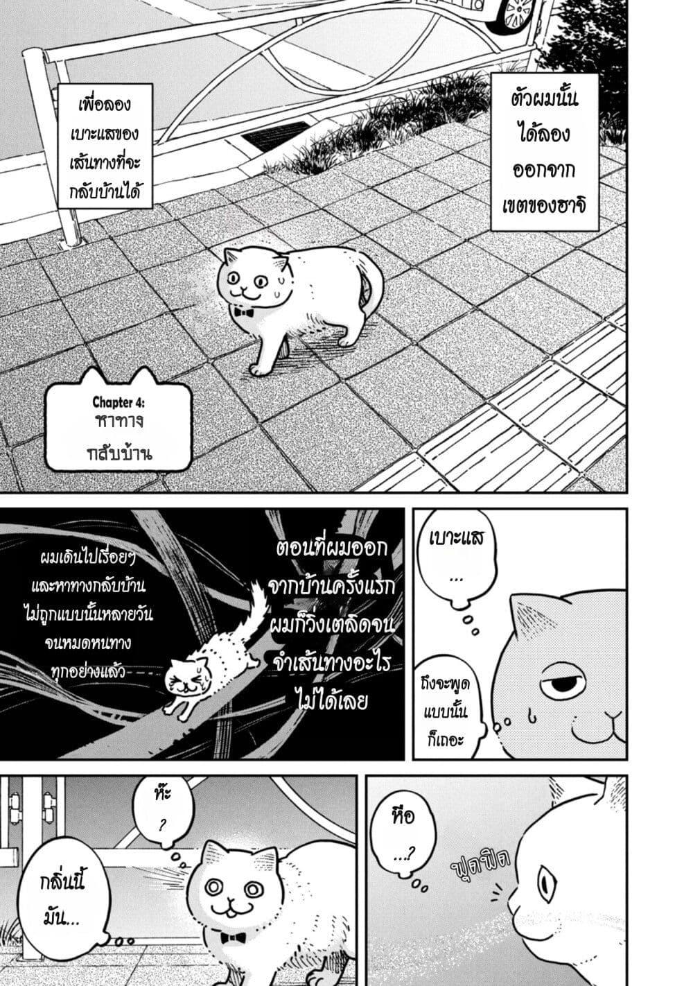 Manga-lc-com อ่านมังงะ อ่านการ์ตูน ออนไลน์ ฟรี Tsureneko – Maruru to Hachi ตอนที่ 1 2 3 4 5 6 7 8 9 10 11 12 13 14 ฟรี ไม่มีโฆษณา Manga-lc - อ่าน มังงะ อ่าน การ์ตูน ออนไลน์ อ่านมังงะ ฟรี