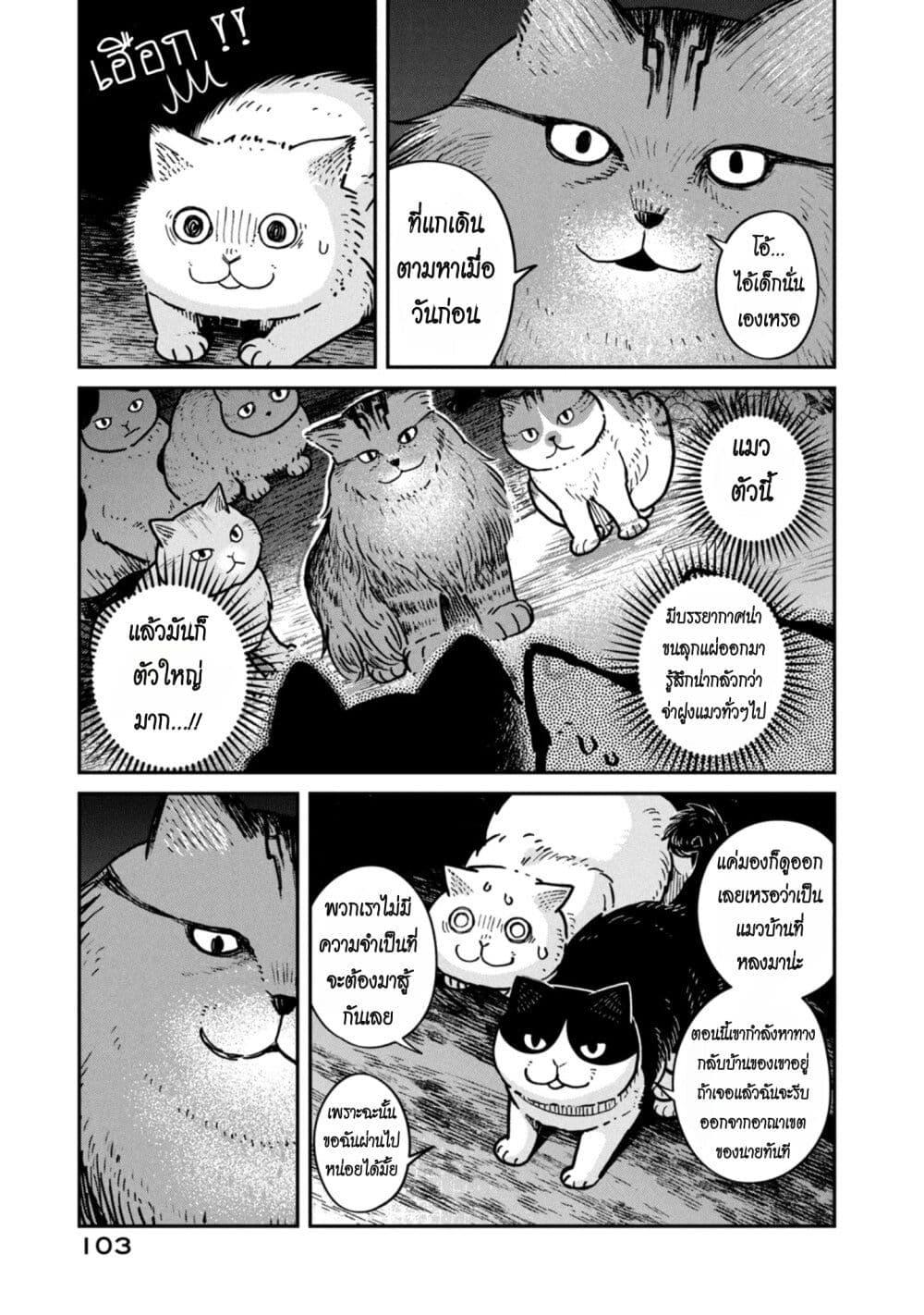 Manga-lc-com อ่านมังงะ อ่านการ์ตูน ออนไลน์ ฟรี Tsureneko – Maruru to Hachi ตอนที่ 1 2 3 4 5 6 7 8 9 10 11 12 13 14 ฟรี ไม่มีโฆษณา Manga-lc - อ่าน มังงะ อ่าน การ์ตูน ออนไลน์ อ่านมังงะ ฟรี