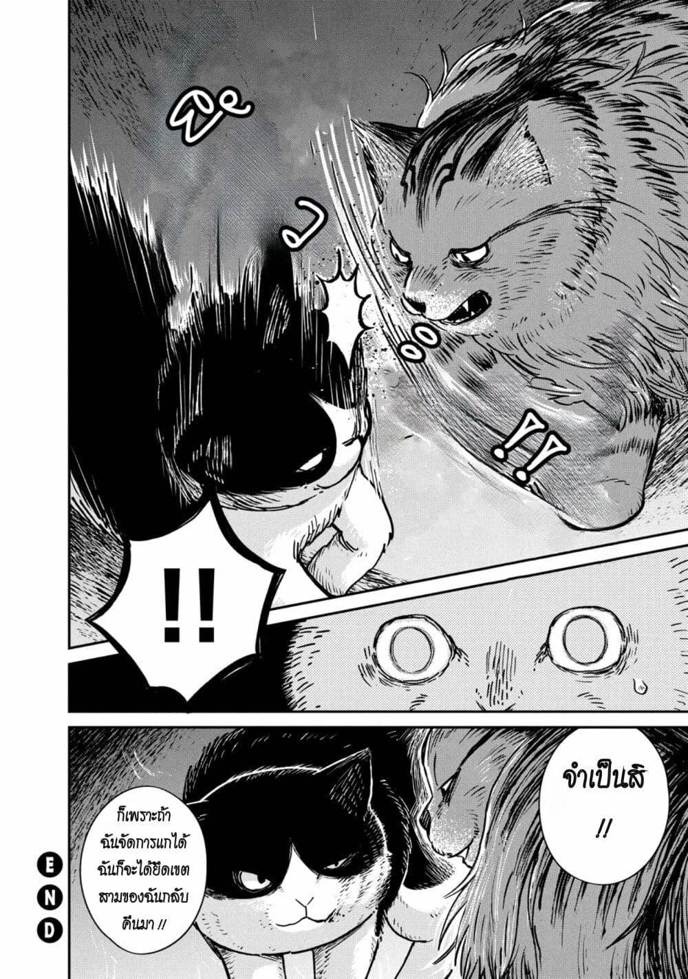 Manga-lc-com อ่านมังงะ อ่านการ์ตูน ออนไลน์ ฟรี Tsureneko – Maruru to Hachi ตอนที่ 1 2 3 4 5 6 7 8 9 10 11 12 13 14 ฟรี ไม่มีโฆษณา Manga-lc - อ่าน มังงะ อ่าน การ์ตูน ออนไลน์ อ่านมังงะ ฟรี