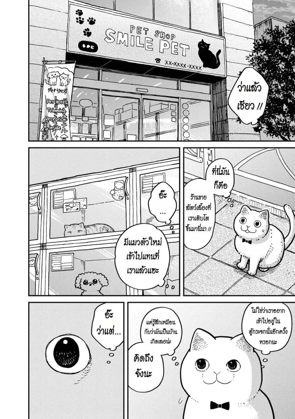 Manga-lc-com อ่านมังงะ อ่านการ์ตูน ออนไลน์ ฟรี Tsureneko – Maruru to Hachi ตอนที่ 1 2 3 4 5 6 7 8 9 10 11 12 13 14 ฟรี ไม่มีโฆษณา Manga-lc - อ่าน มังงะ อ่าน การ์ตูน ออนไลน์ อ่านมังงะ ฟรี